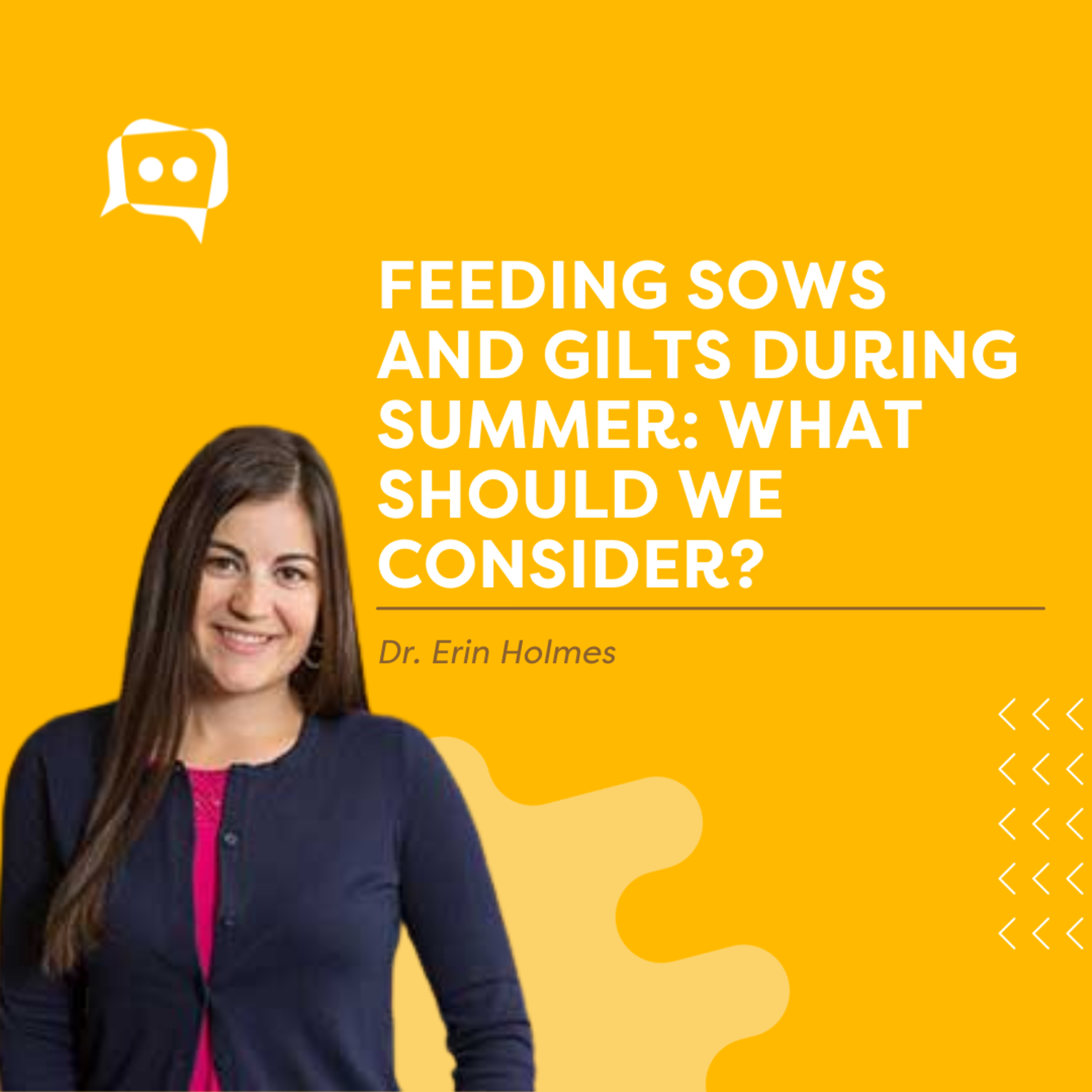 #SHORTS: Feeding sows and gilts during summer: what should we consider?