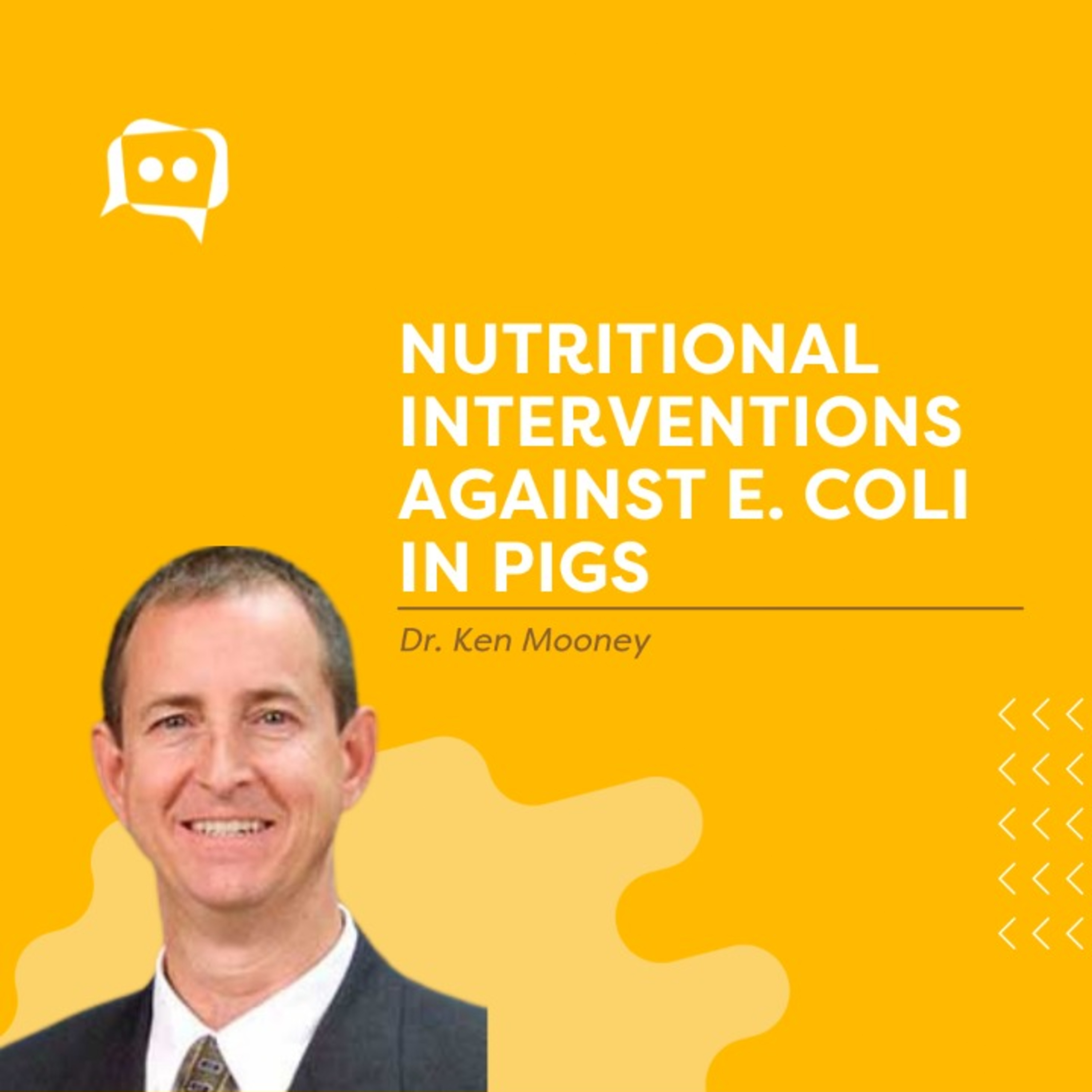 #SHORTS: Nutritional interventions against E. coli in pigs, with Dr. Ken Mooney episode artwork