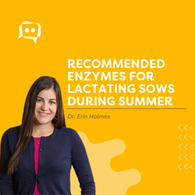 #SHORTS: Recommended enzymes for lactating sows during summer episode artwork
