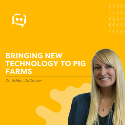#SHORTS: Bringing new technology to pig farms - Dr. Ashley DeDecker episode artwork