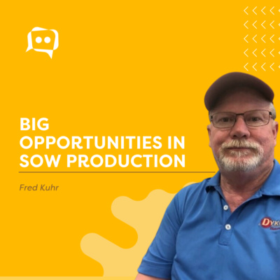 #SHORTS: Big opportunities in sow production - Fred Kuhr episode artwork