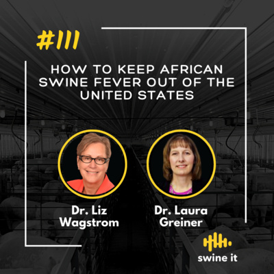 Dr. Liz Wagstrom: Preventing African Swine Fever | Ep. 111 episode artwork