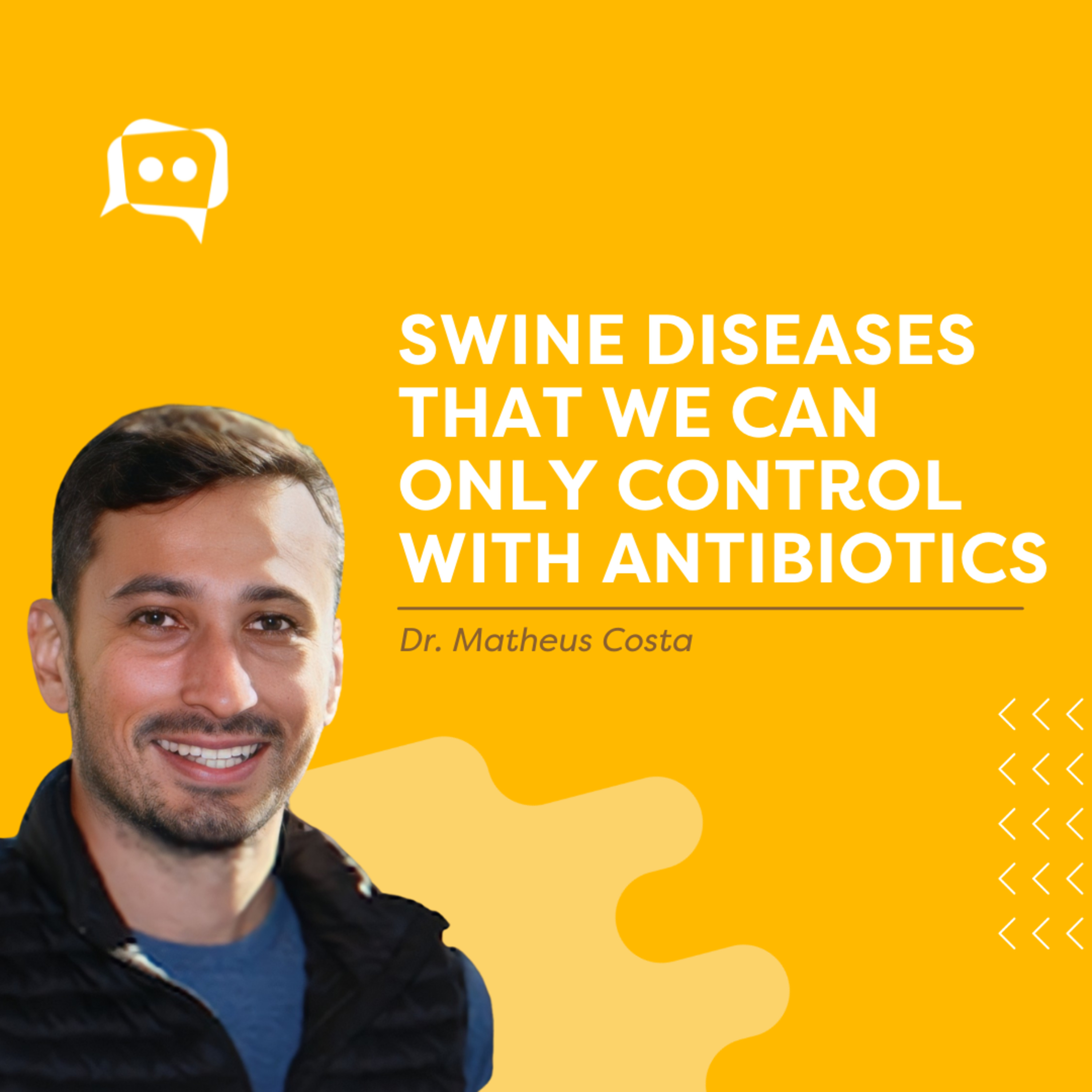 #SHORTS: Swine diseases that we can only control with antibiotics, with Dr. Matheus Costa