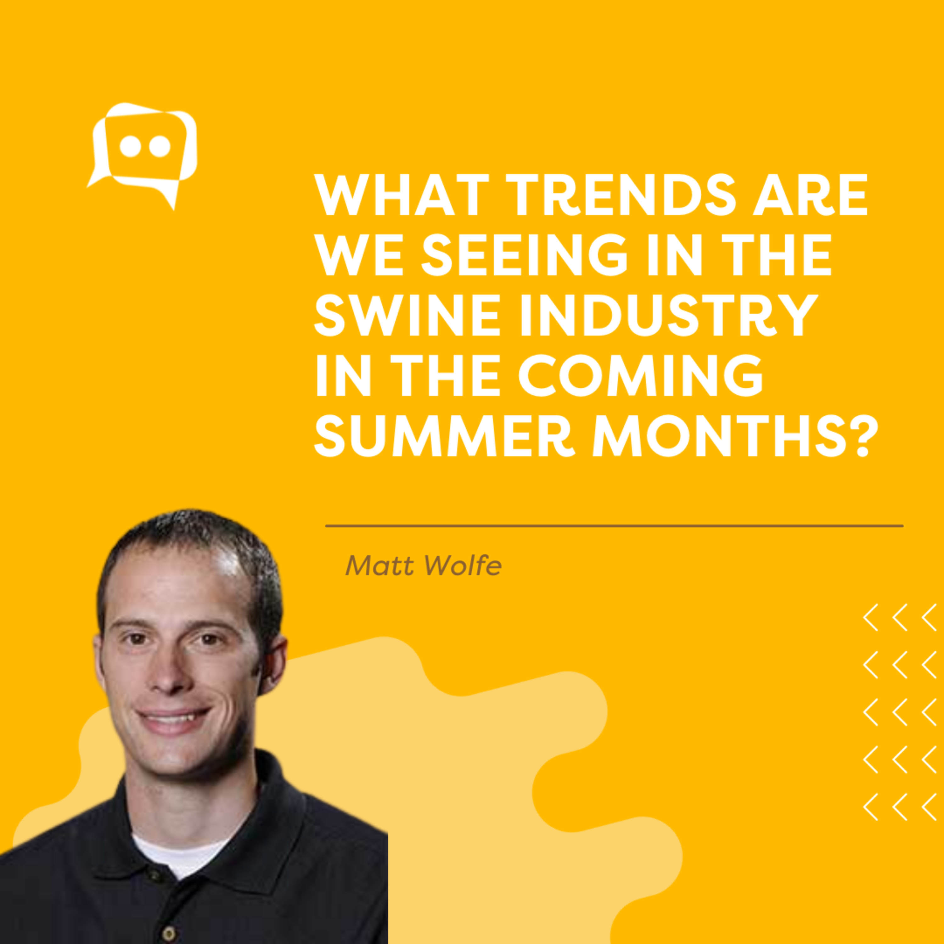 #SHORTS: What trends are we seeing in the swine industry in the coming summer months? With Matt Wolfe episode artwork