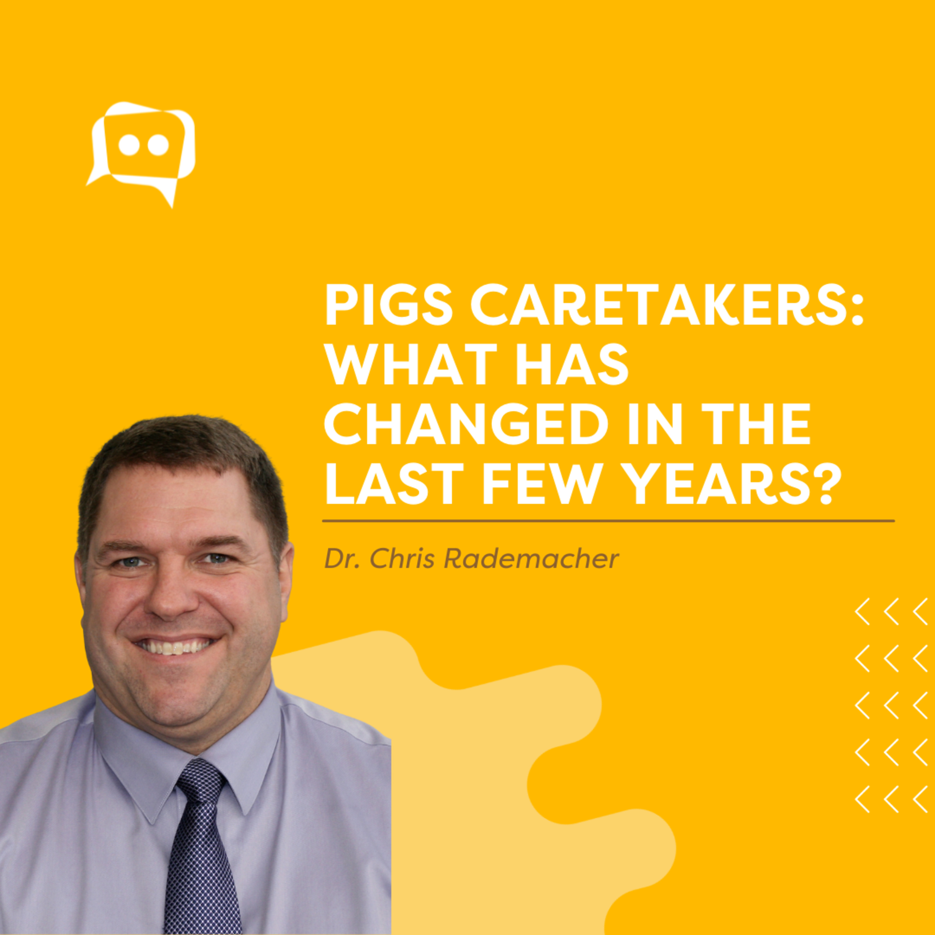 #SHORTS: Pigs caretakers: what has changed in the last few years? episode artwork