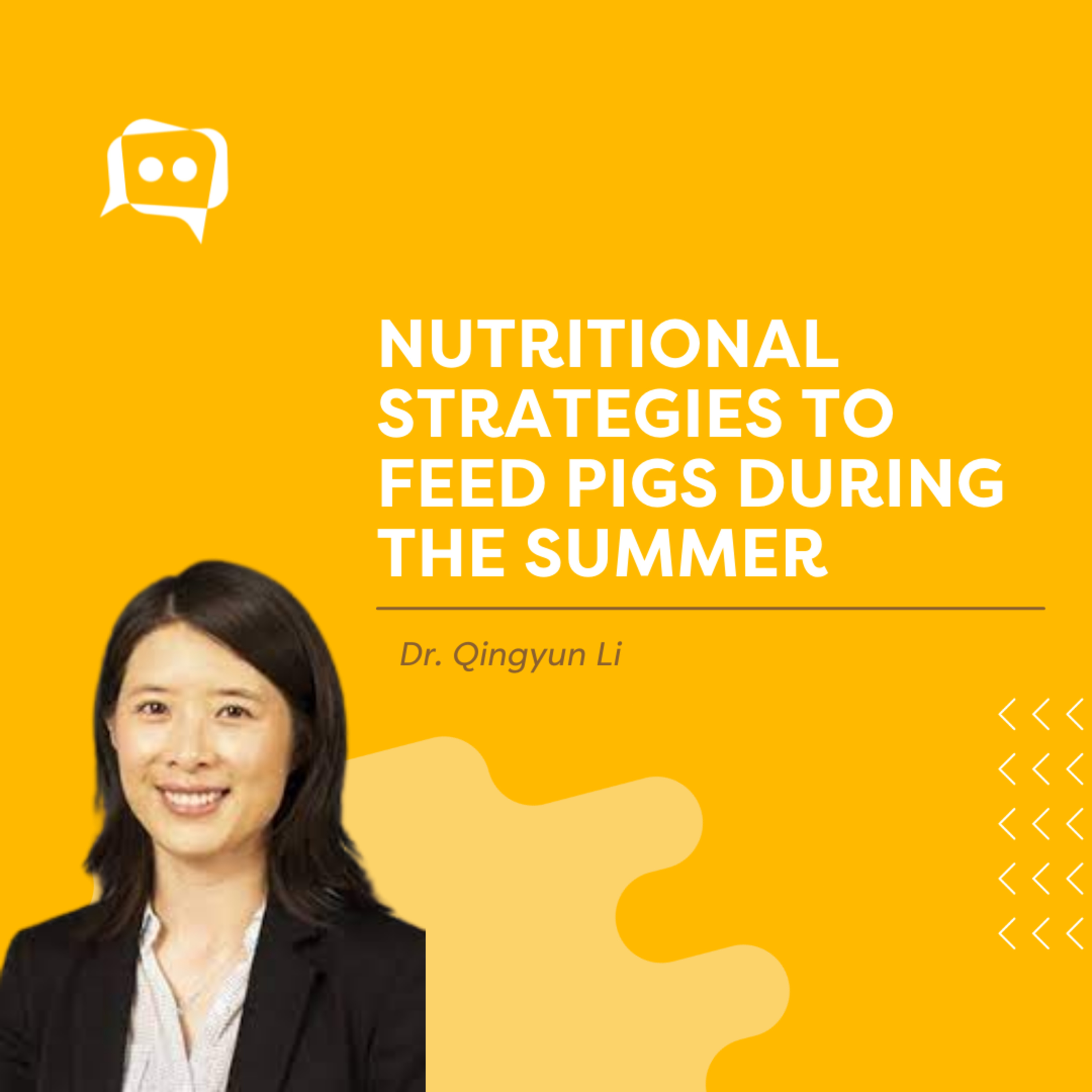 #SHORTS: Nutritional strategies to feed pigs during the summer, with Dr. Qingyun Li