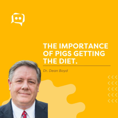 #SHORTS: The importance of pigs getting the diet, with Dr. Dean Boyd episode artwork