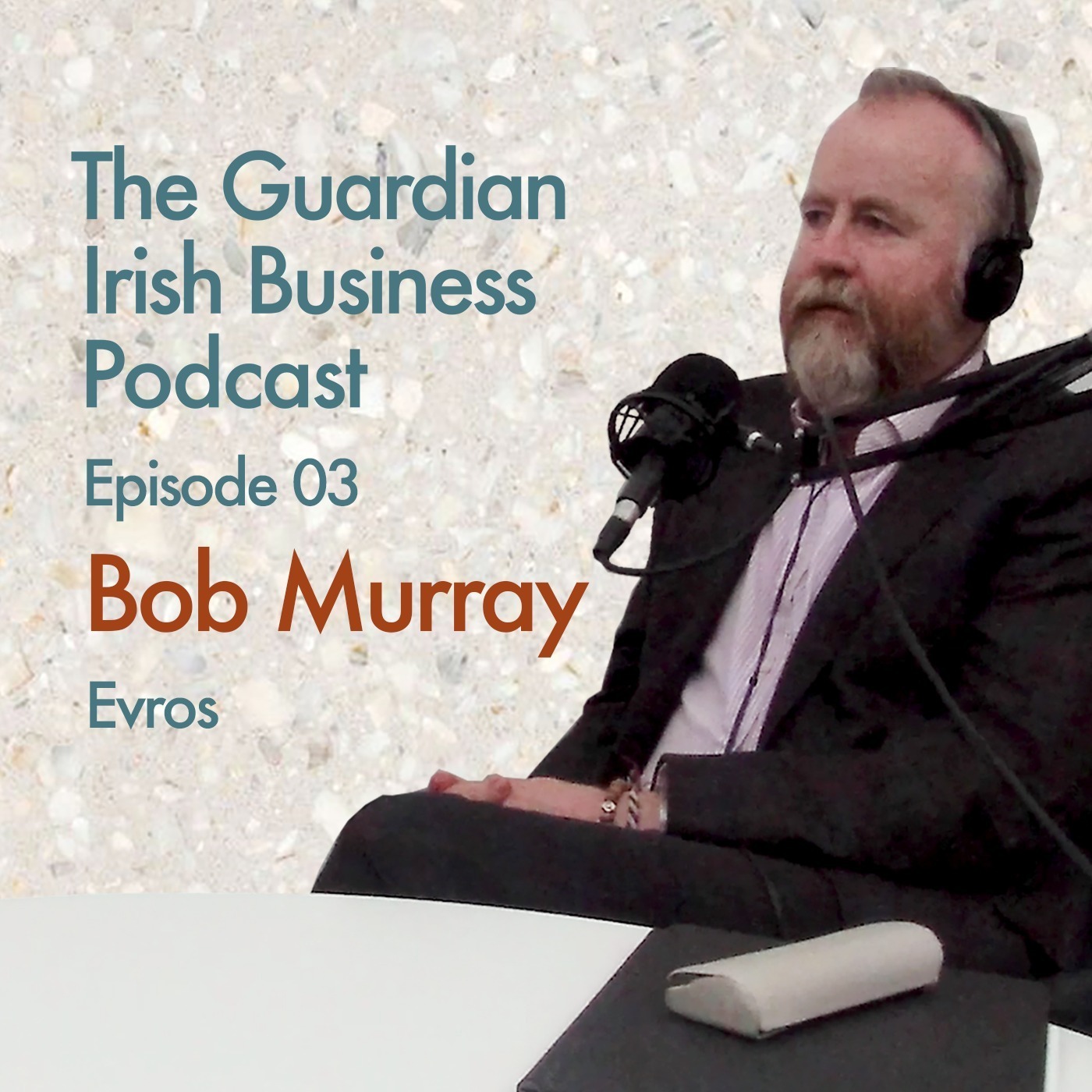 The Guardian Irish Business Podcast