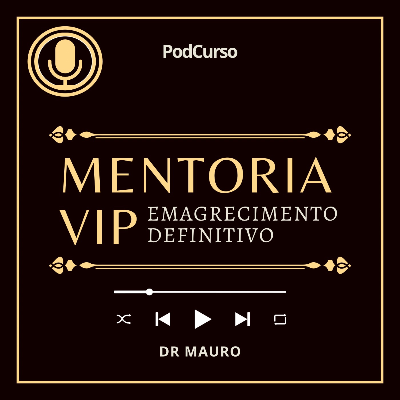 Audio Player Image