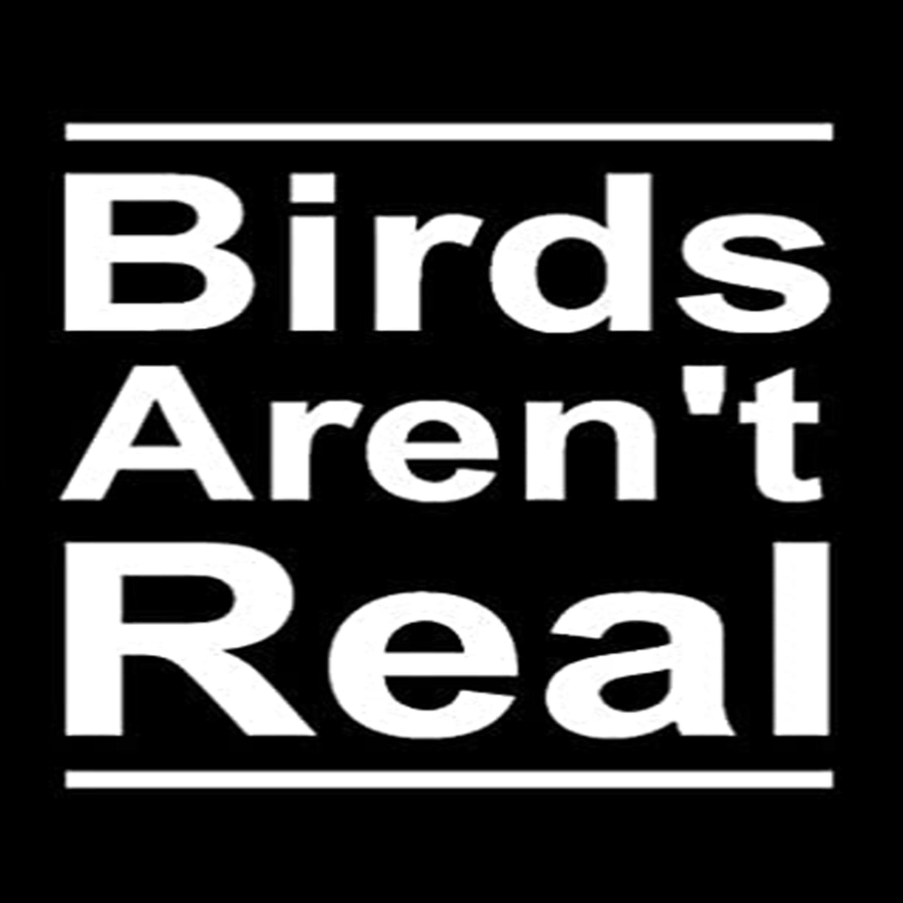 Birds Aren't Real | 253 Image