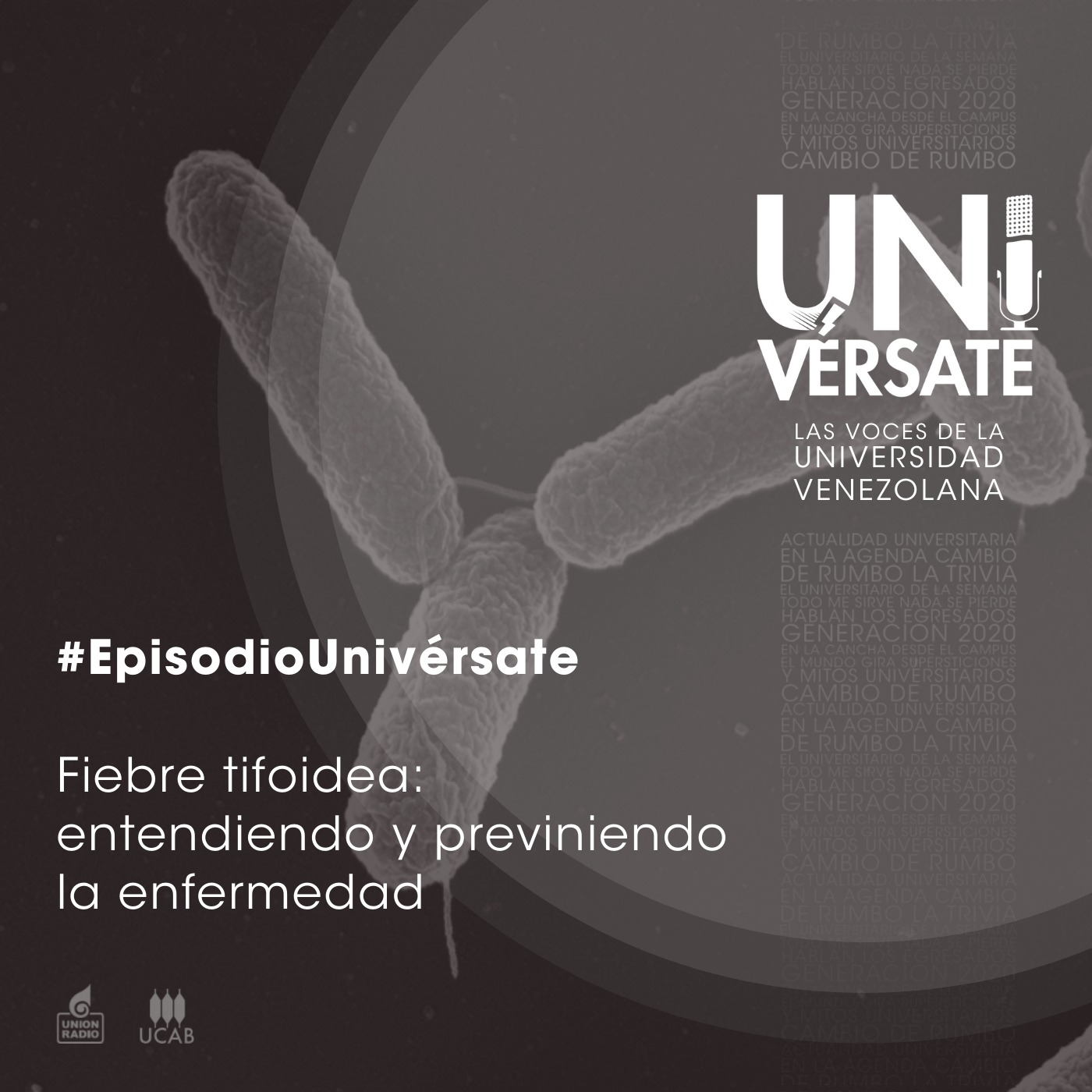 Episodio 136: Fiebre tifoidea: entendiendo y previniendo la enfermedad