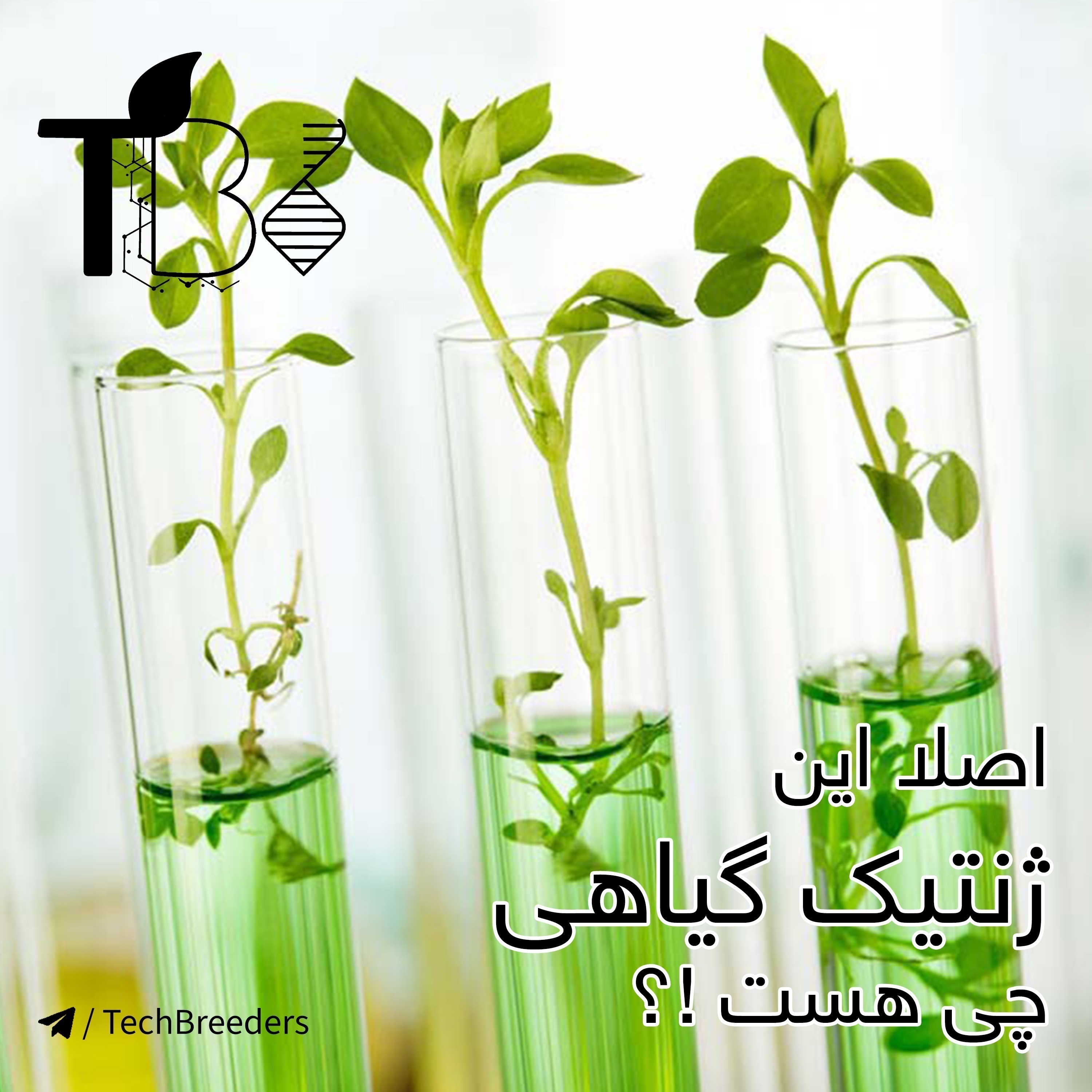 +اصلا این ژنتیک گیاهی چی هست؟!