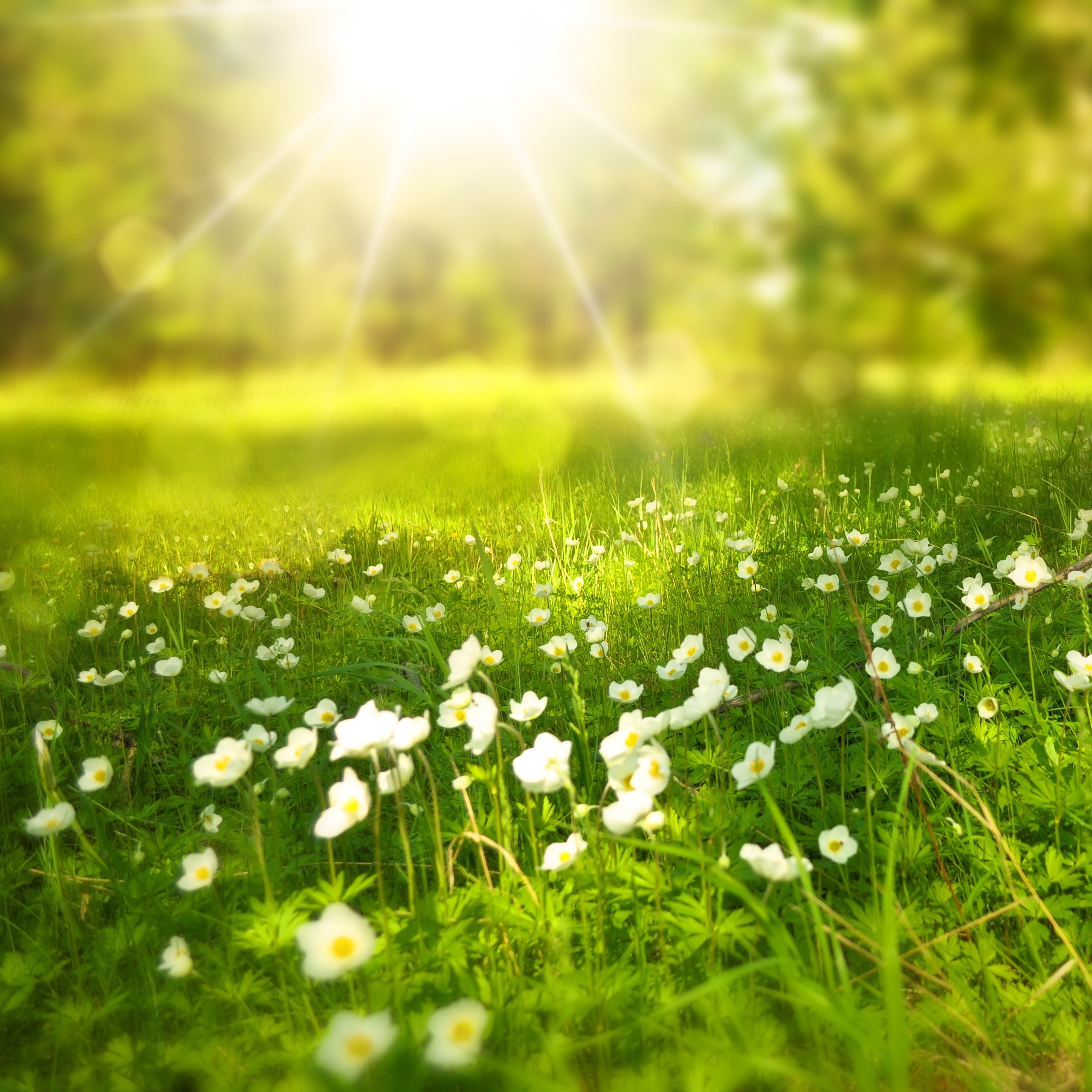 My spiritual visitation to Paradise