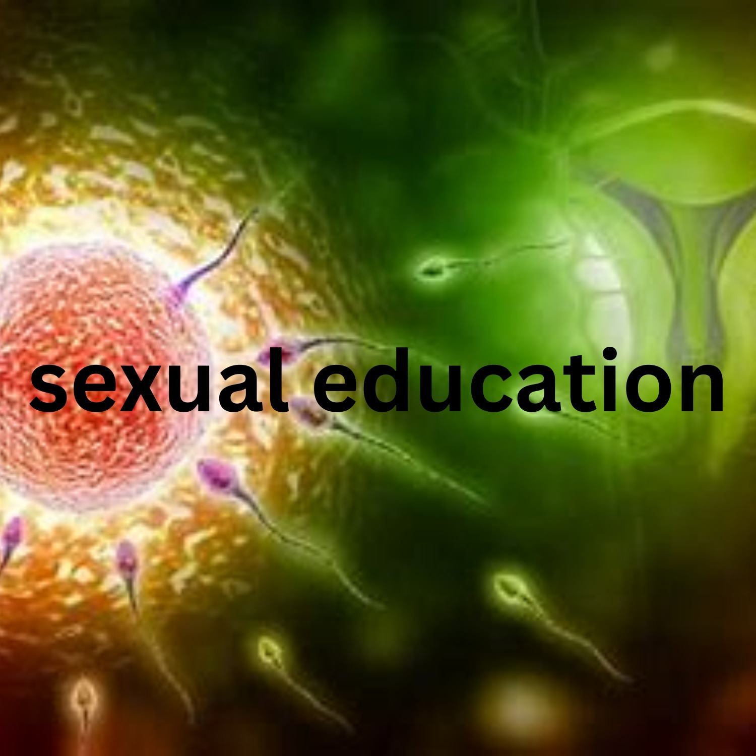 sexual education S5 E6(tamil)