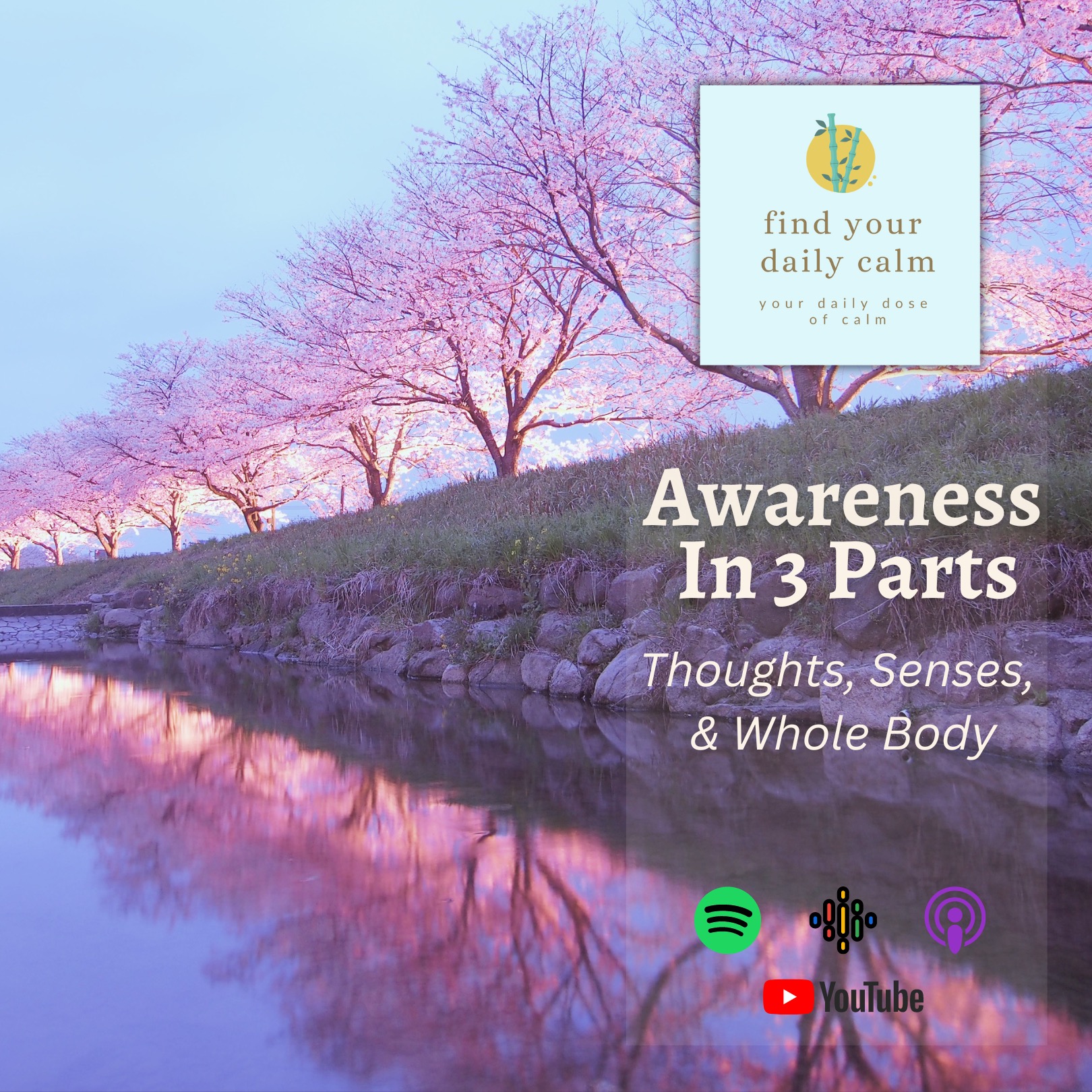 Awareness In 3 Parts: Thoughts, Senses, & Whole Body