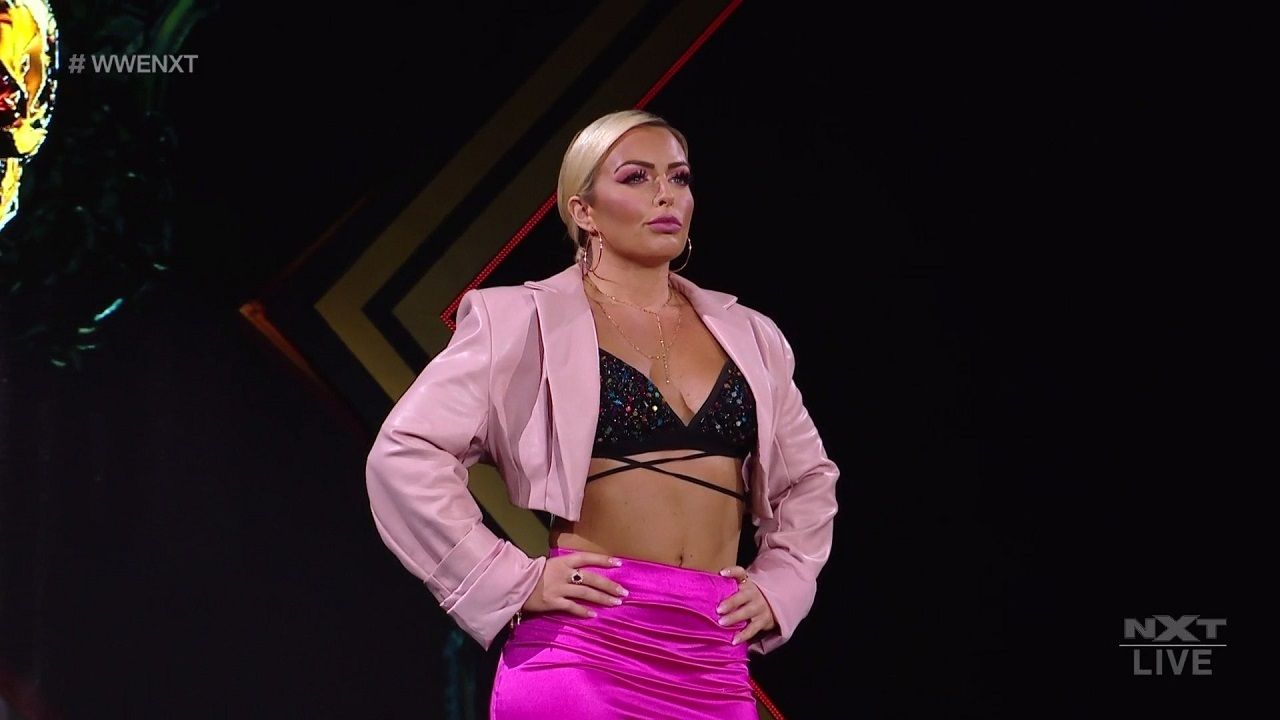 WWE NXT 7/13 Review, WWE Touring, RAW And SD Ratings | WINC Podcast episode artwork