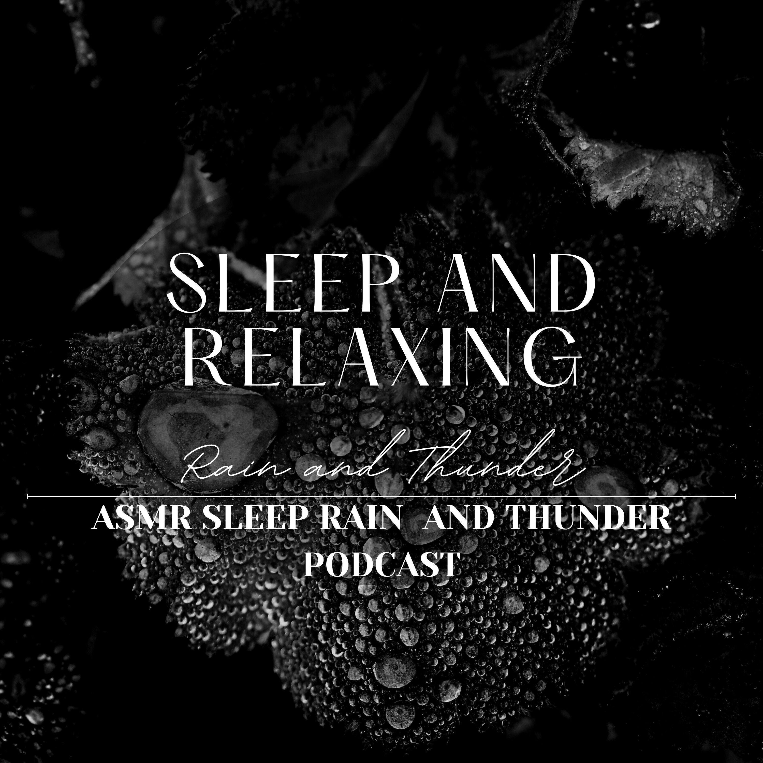 Sleep and Relaxing Rain and Thunder ASMR Sleep Rain and Thunder Podcast