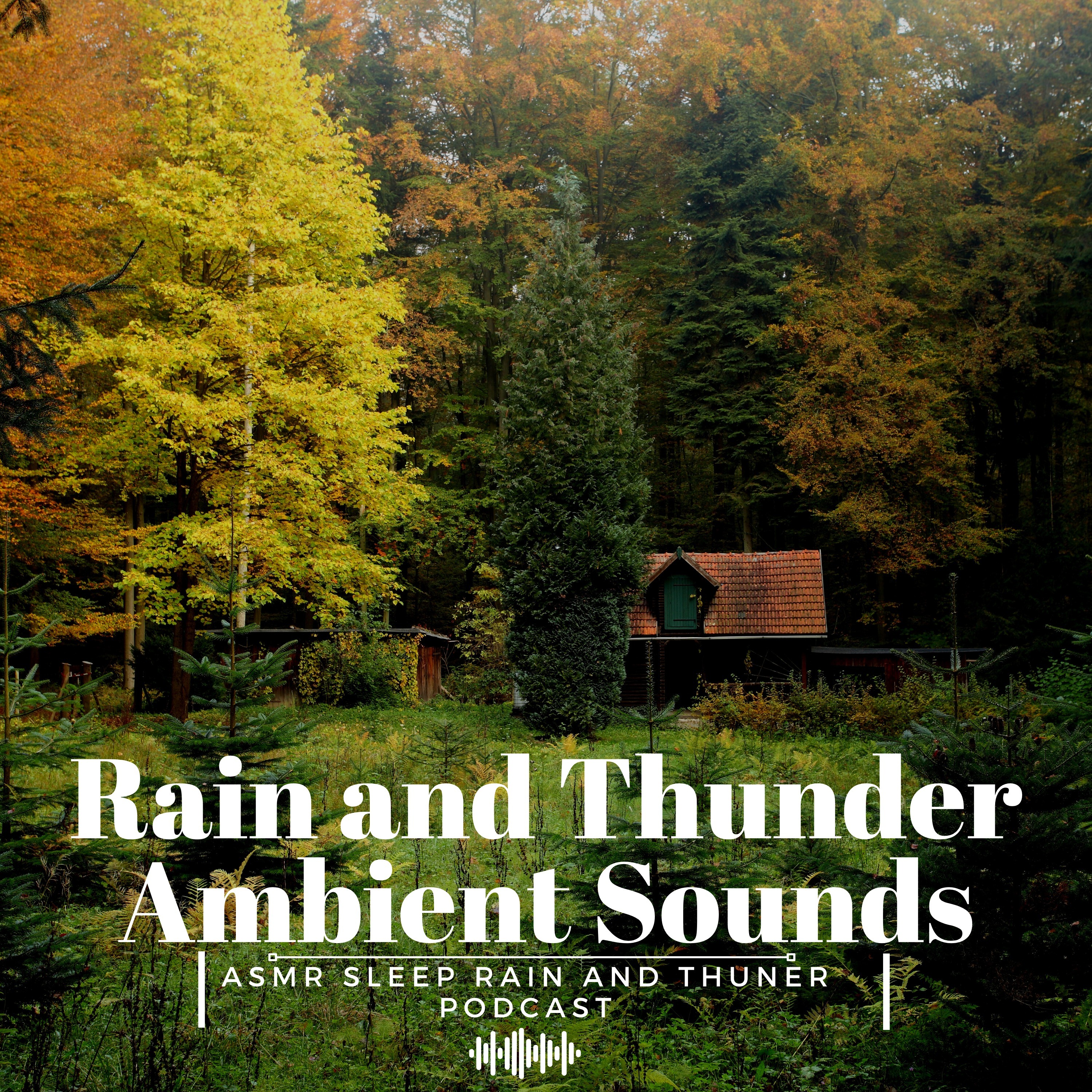 Rain and Thunder Ambient Sounds for Sleeping ASMR Sleep Rain and Thunder Podcast