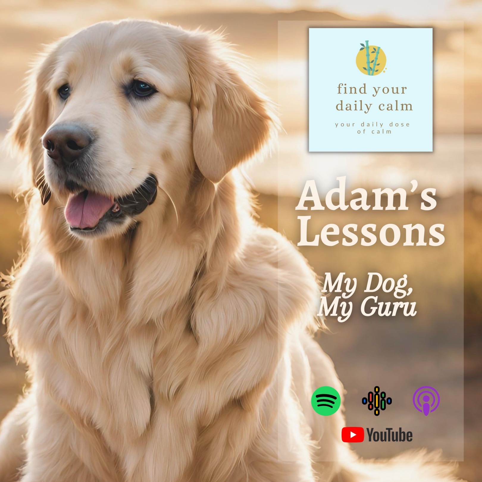 Adam's Lessons: My Dog, My Guru