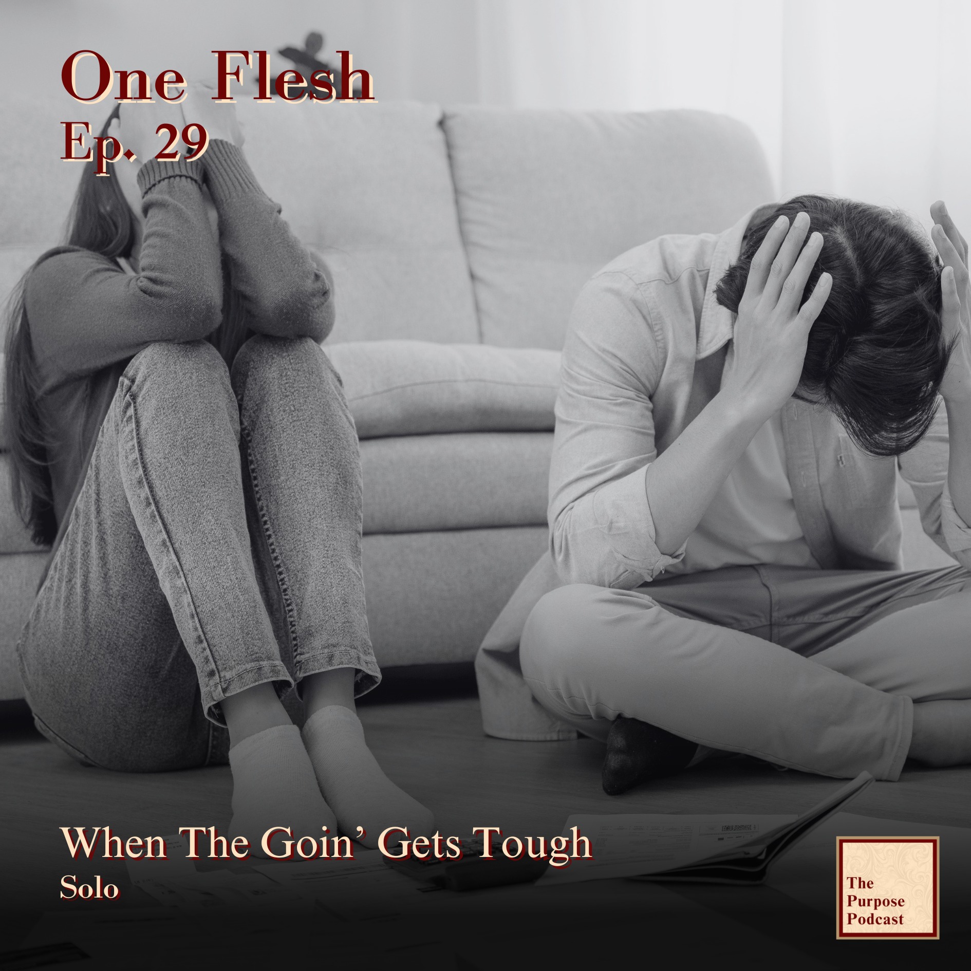 One Flesh Ep. 29 - When the Goin' Gets Tough episode artwork