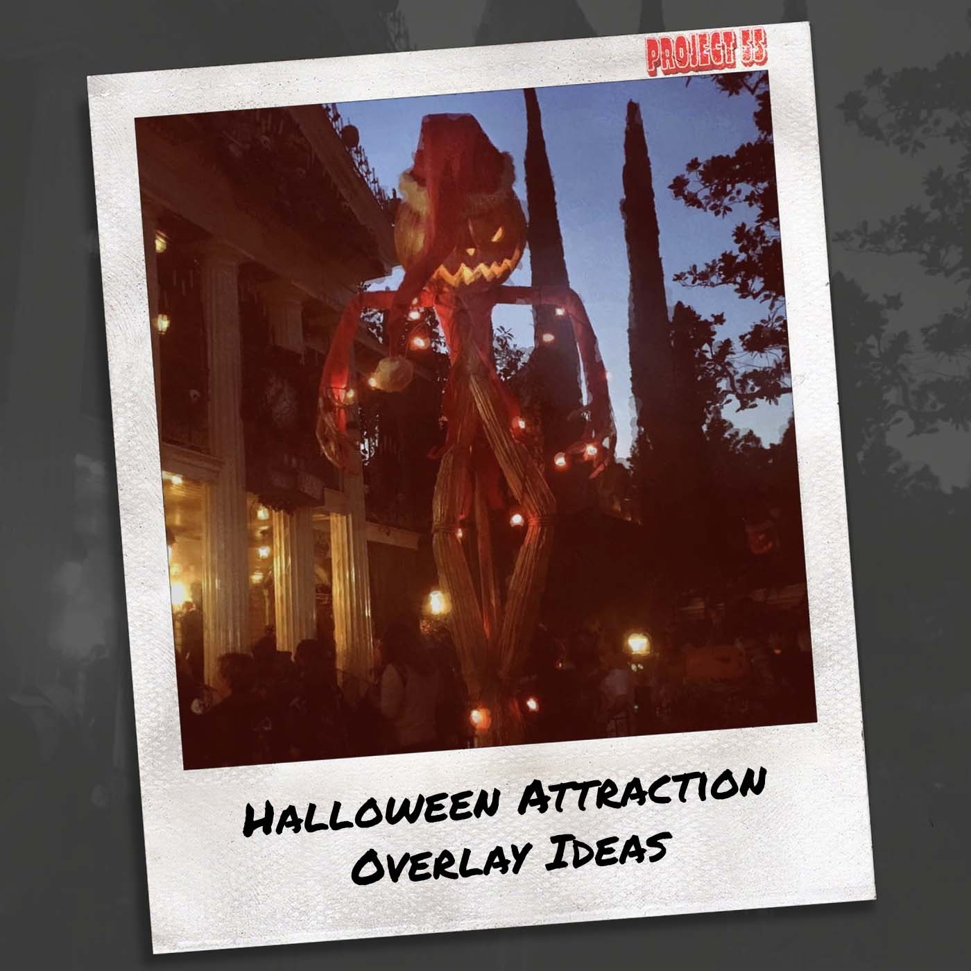 Project55 - A Disneyland Experience