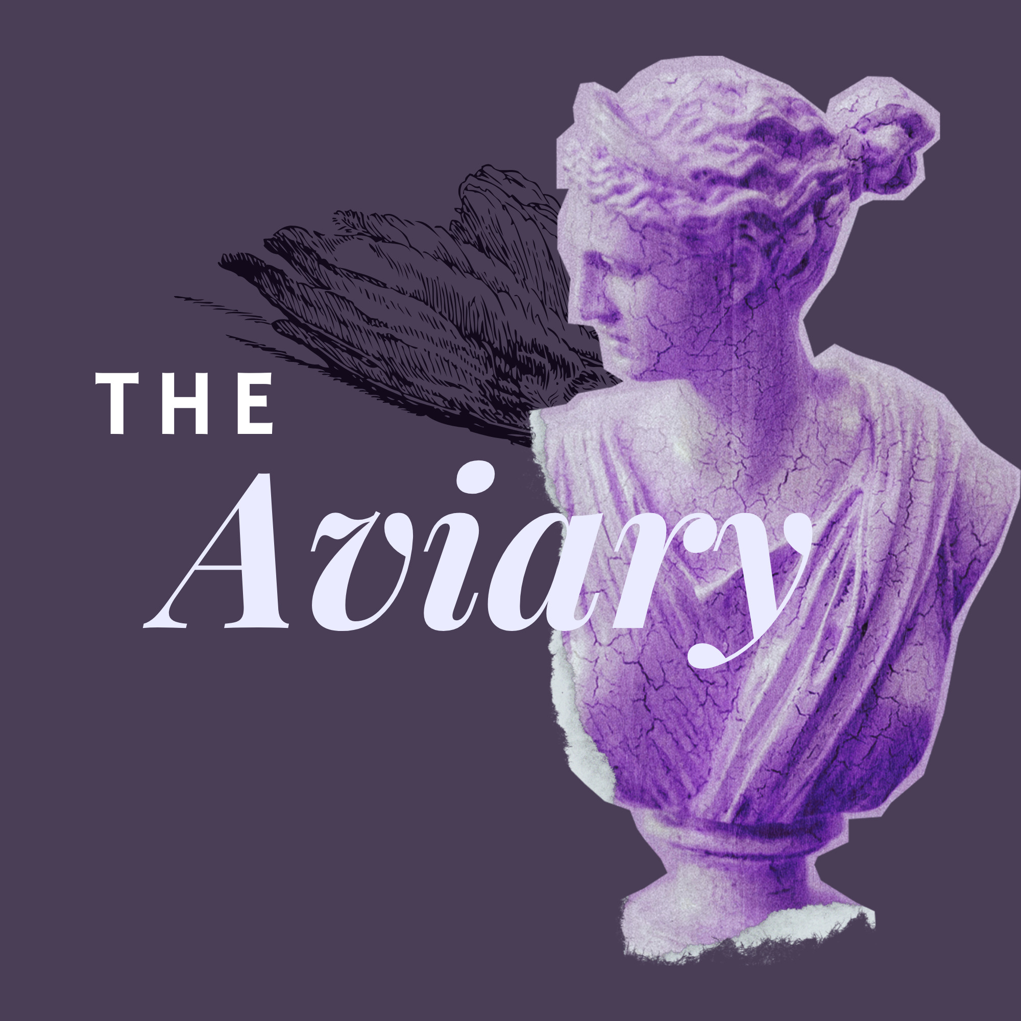 Audio Player Image