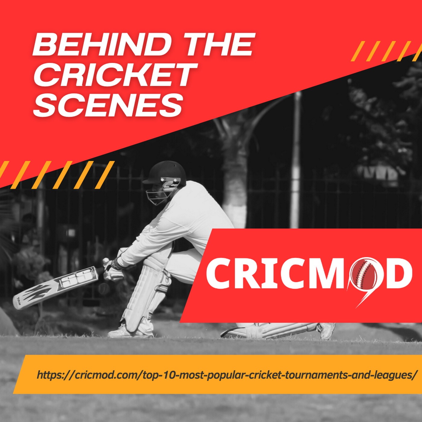 Behind the Cricket Scenes podcast artwork