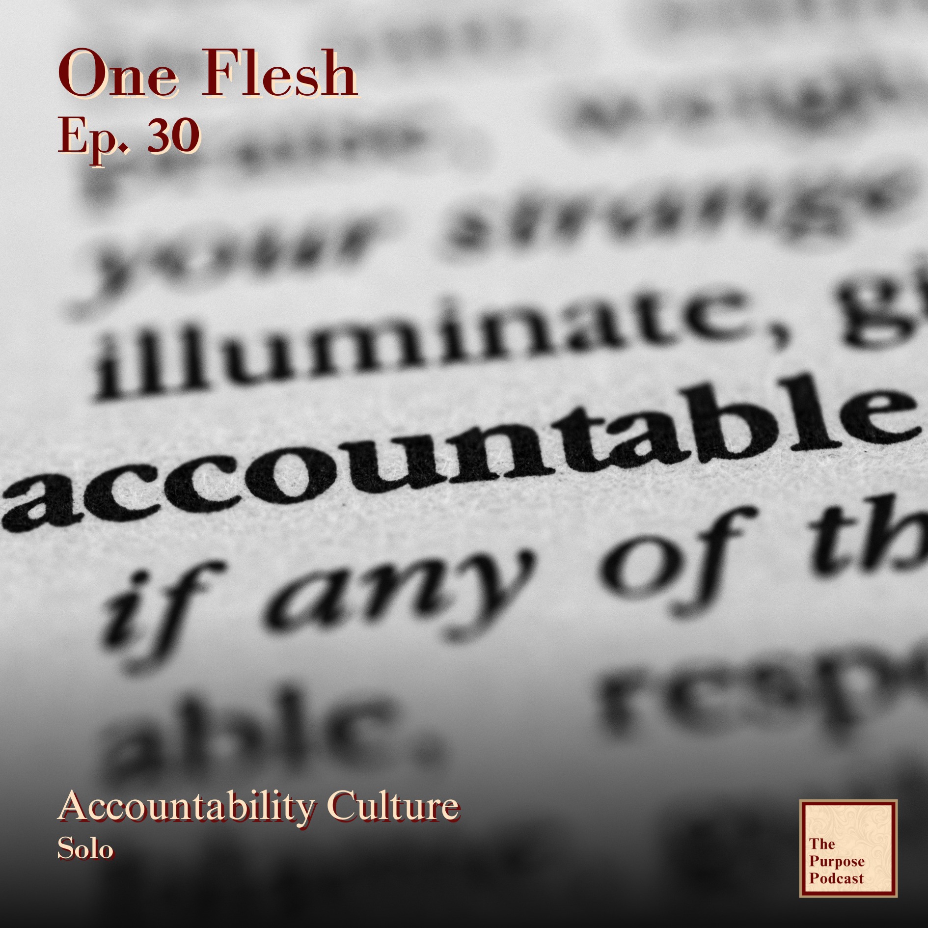 One Flesh Ep. 30 - Accountability Culture | Solo episode artwork