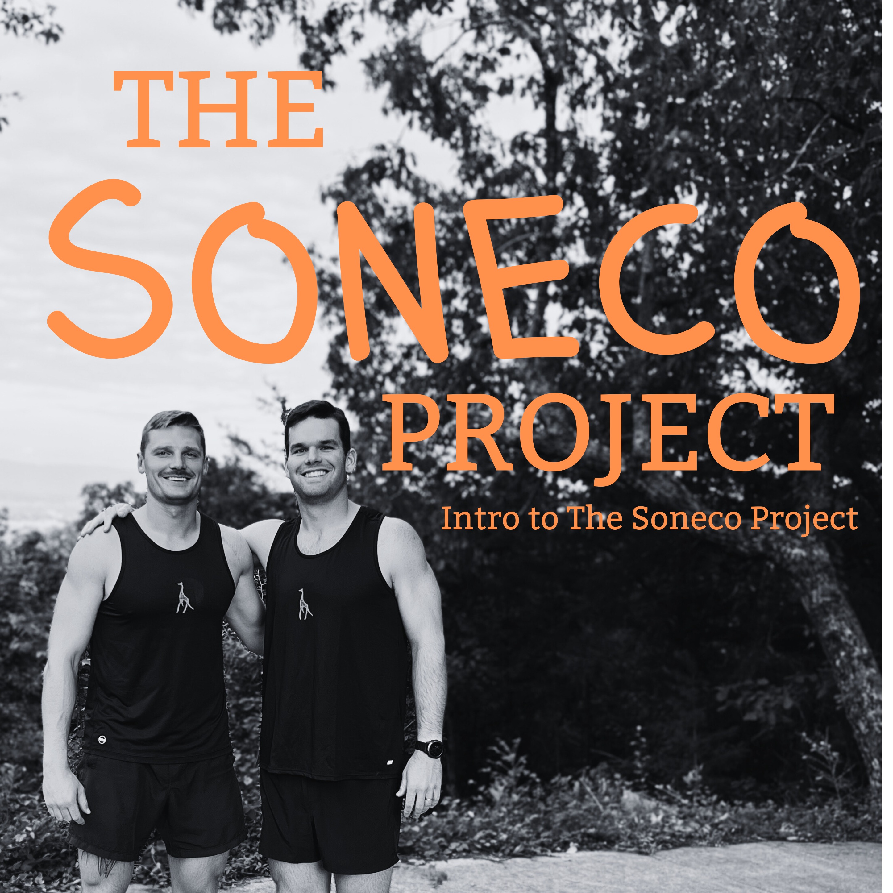 Intro to The Soneco Project