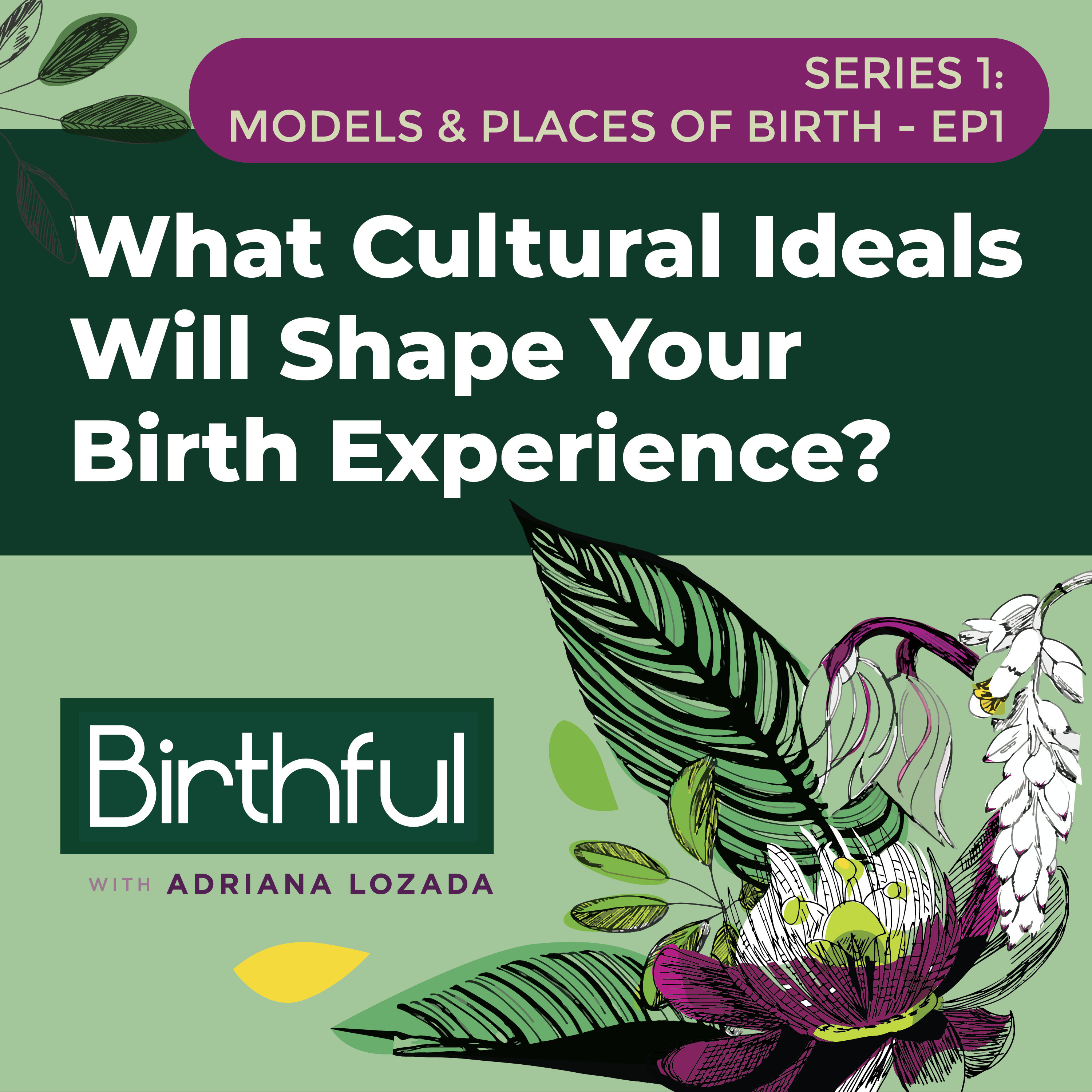 What Cultural Ideals Will Shape Your Birth Experience?