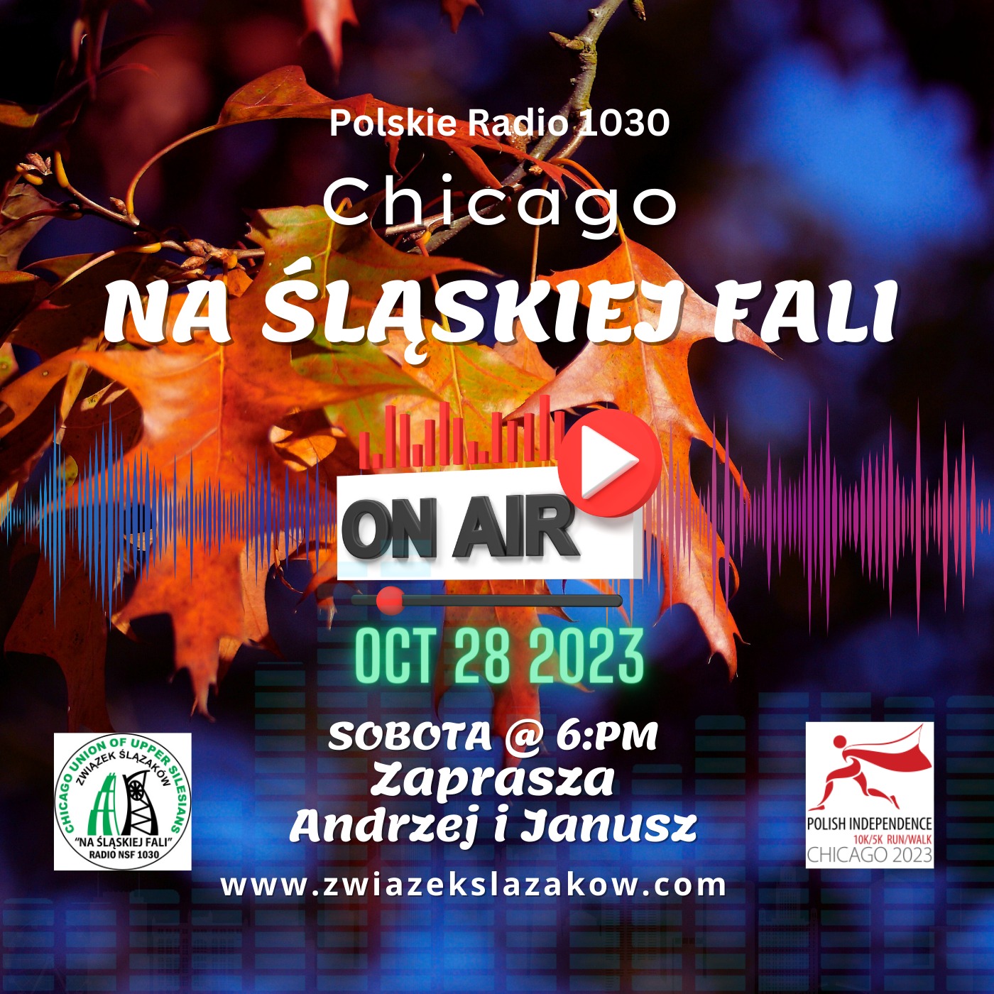 Radio Na Śląskiej Fali Chicago