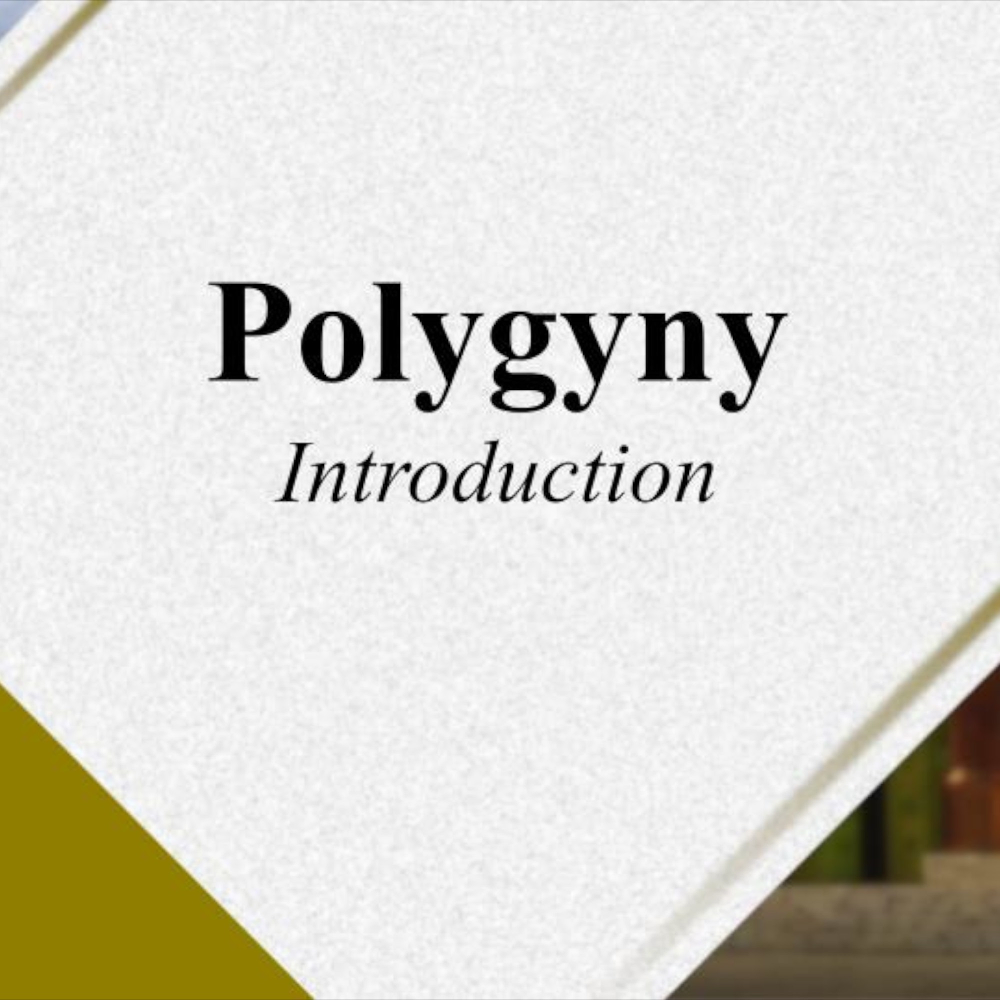 Polygyny 101 - Introduction