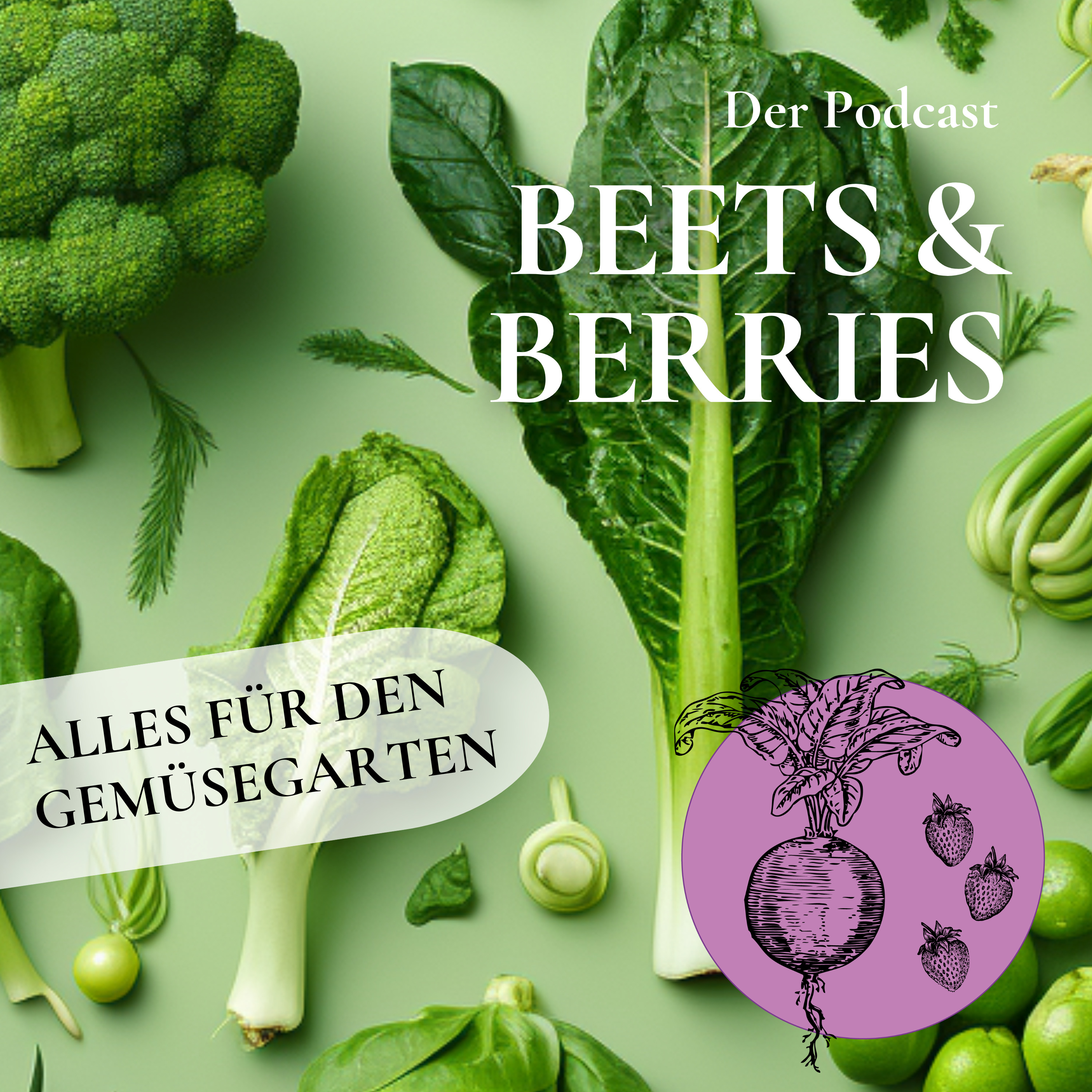 Knoblauch - jetzt noch schnell stecken