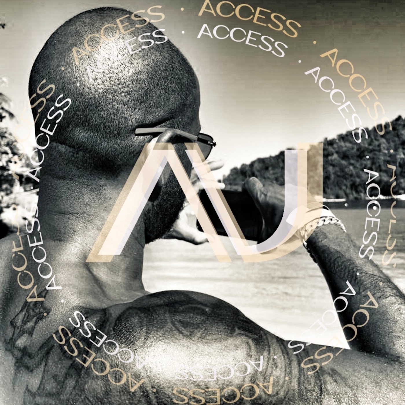 Au Access