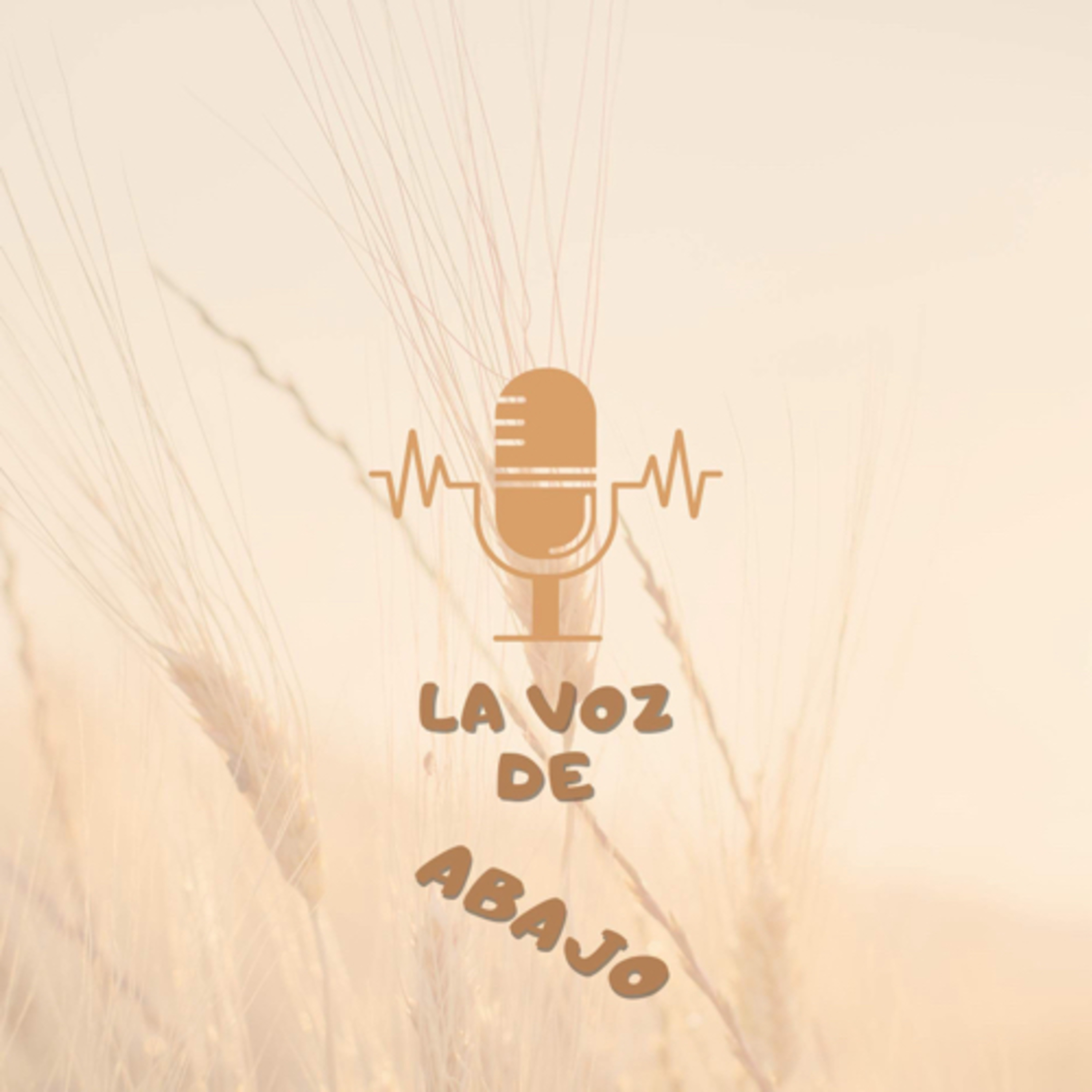 La voz de abajo