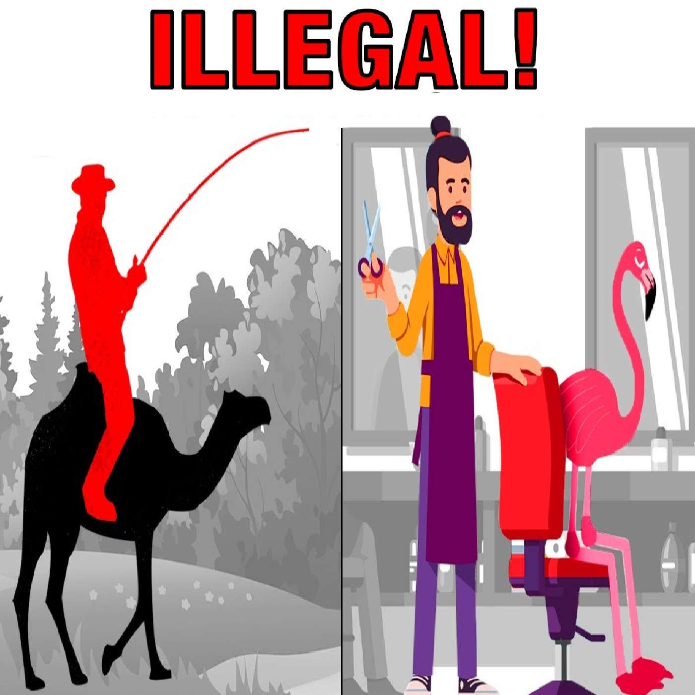 Bizarre Things You Can't Do in America