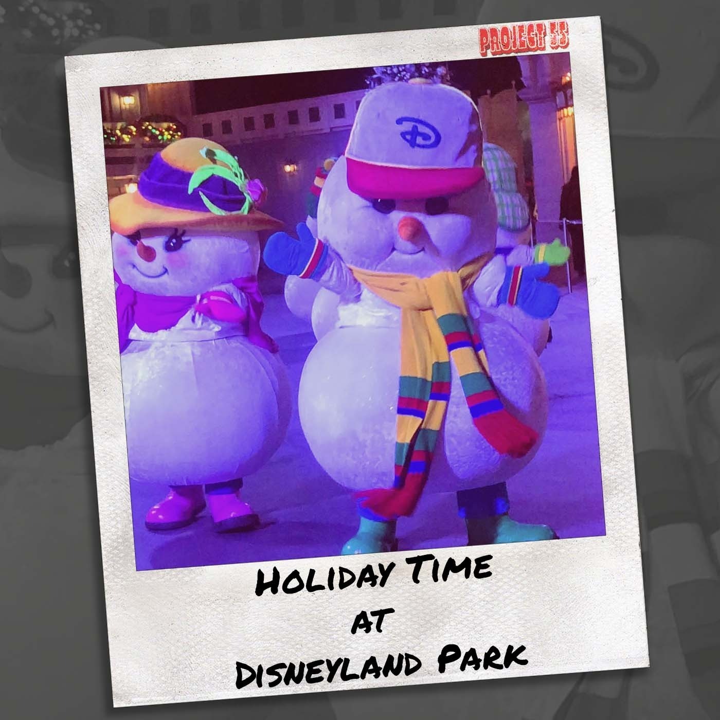 Project55 - A Disneyland Experience