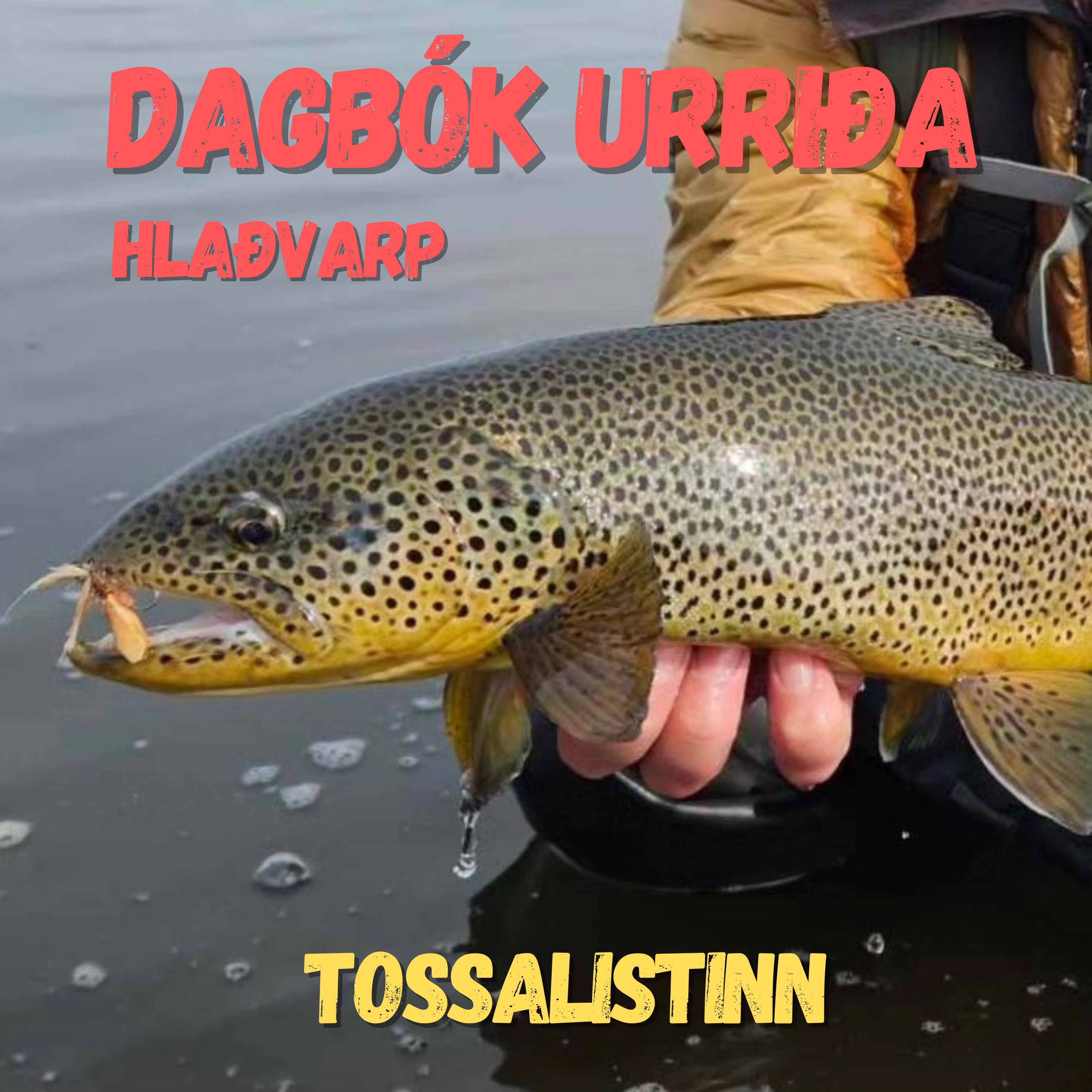 Dagbók urriða - Truflaðir veiðimenn - Áskrift.