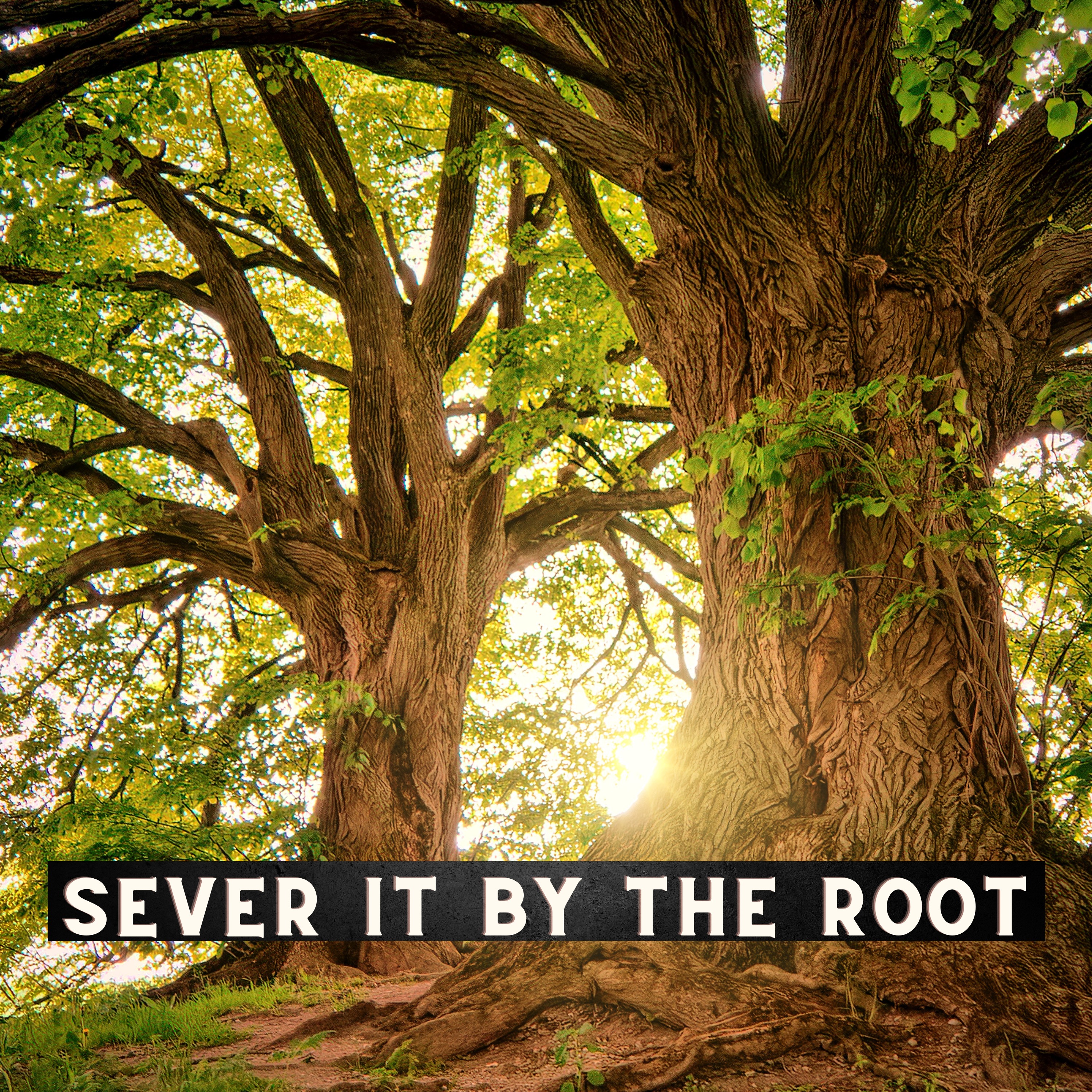 Sever It By The Root