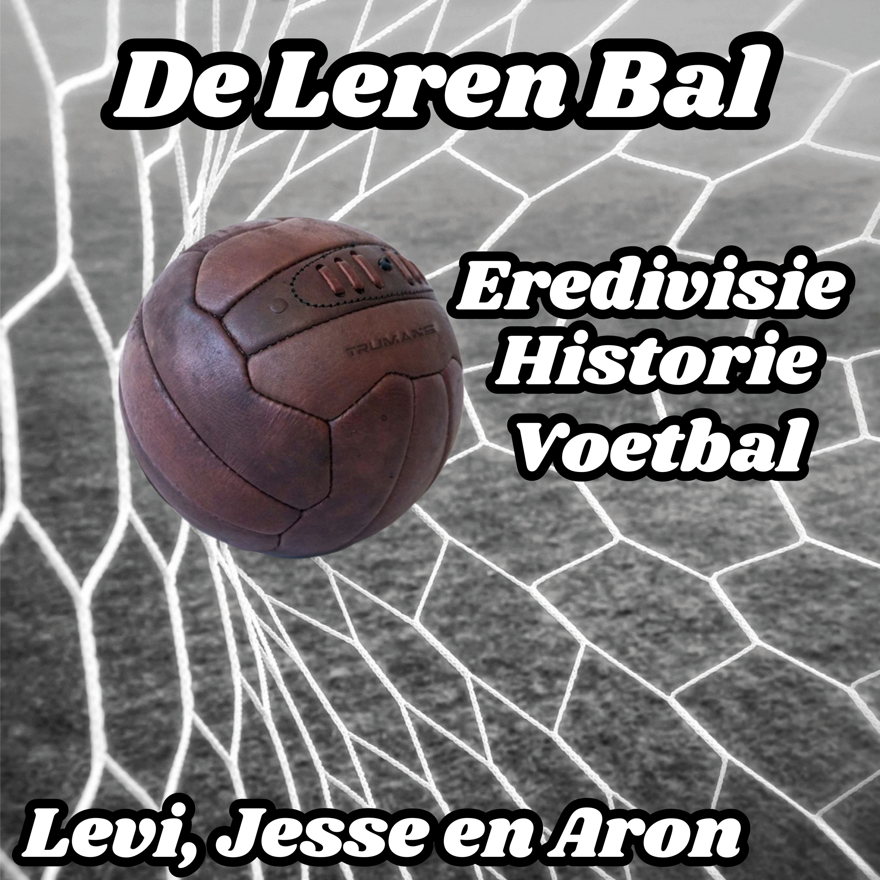 De Leren Bal Podcast podcast artwork