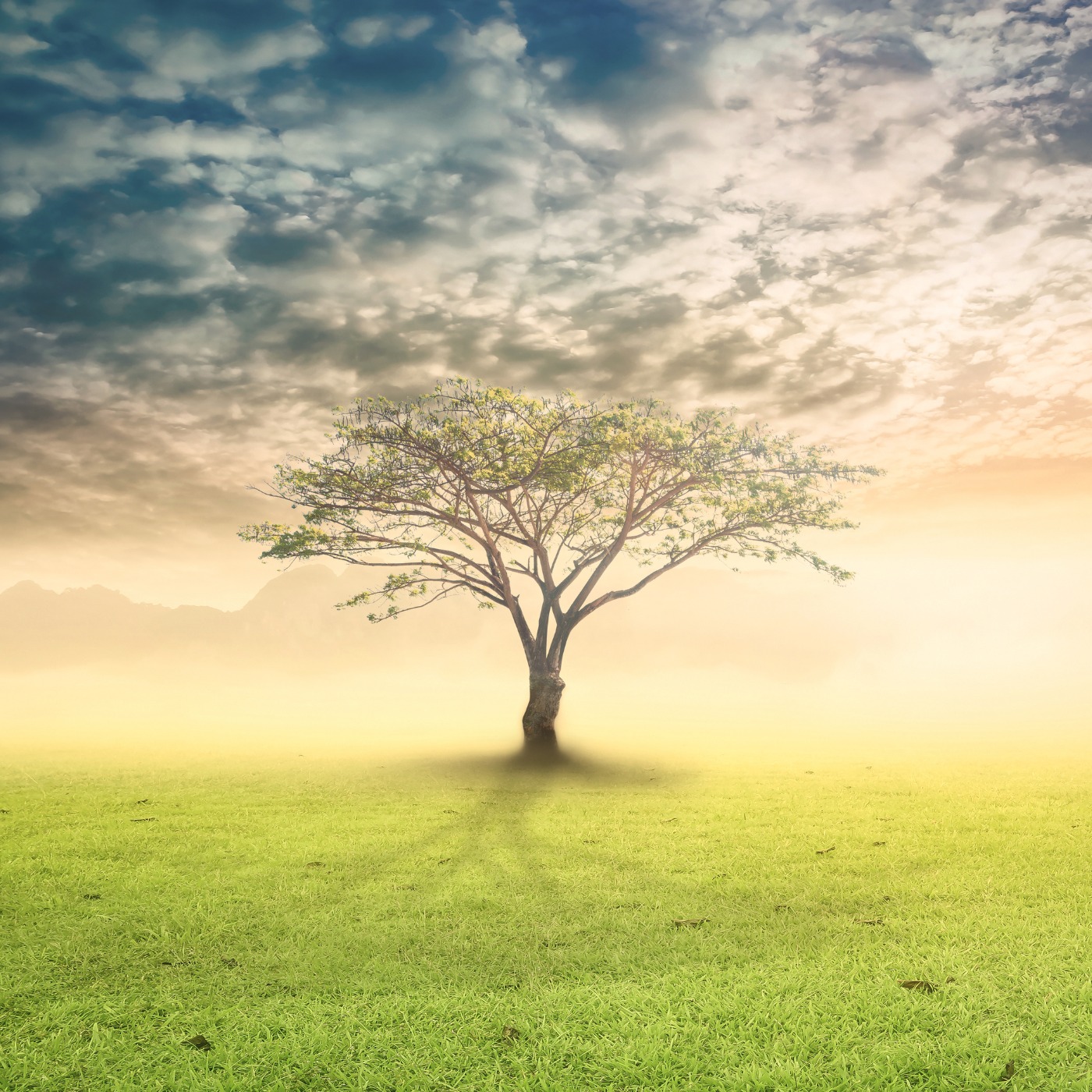 Abraham Hicks Po Polsku