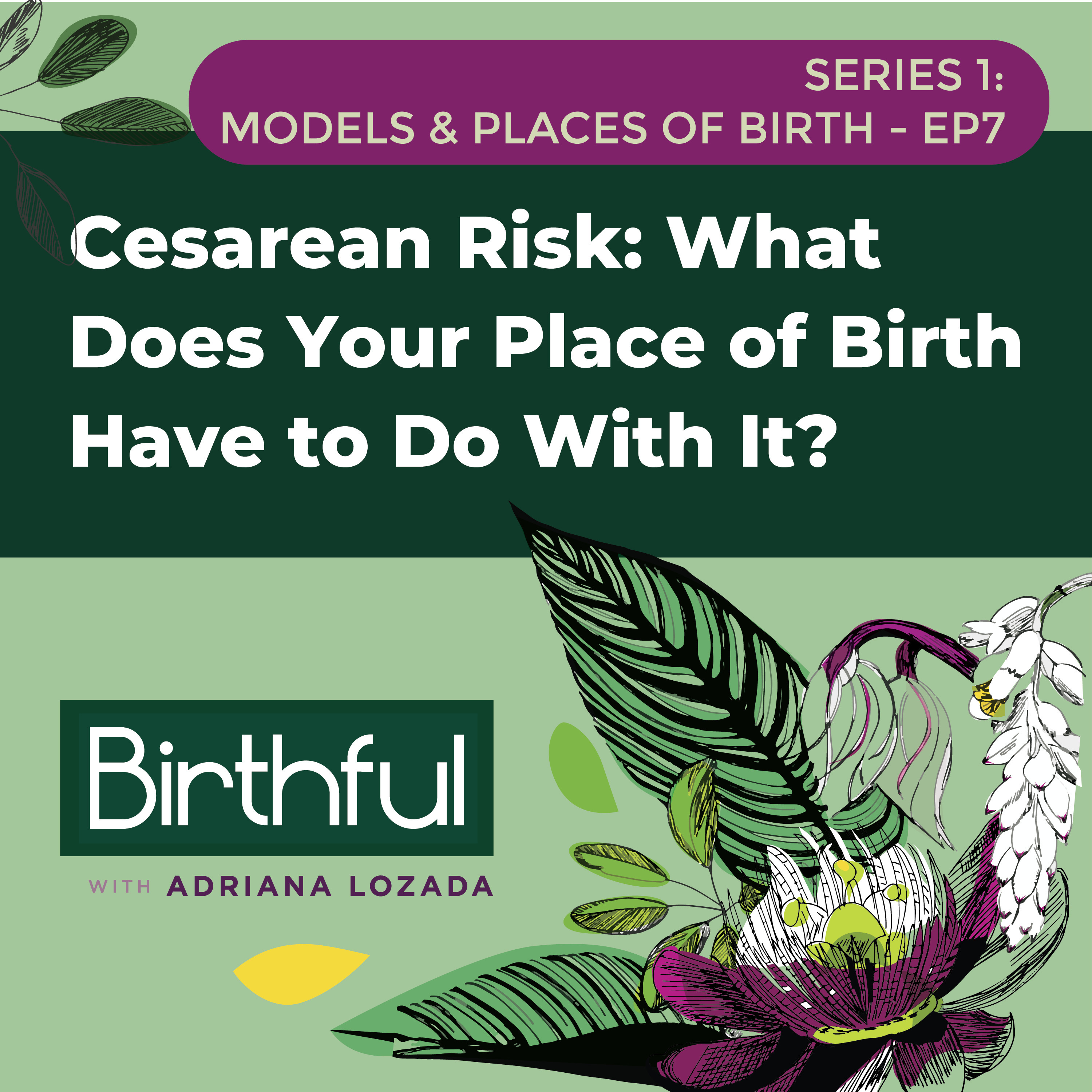 Cesarean Risk: What’s Your Place of Birth Got to Do With It?