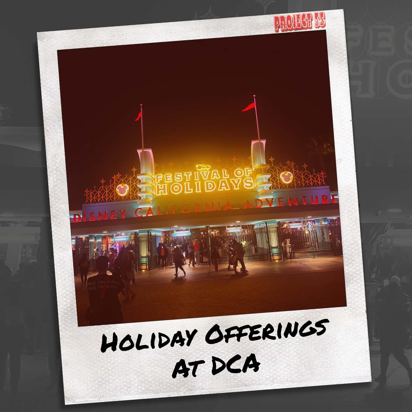 Project55 - A Disneyland Experience
