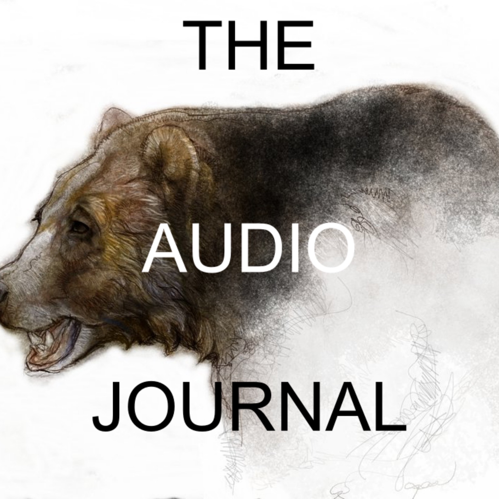 Audio Player Image
