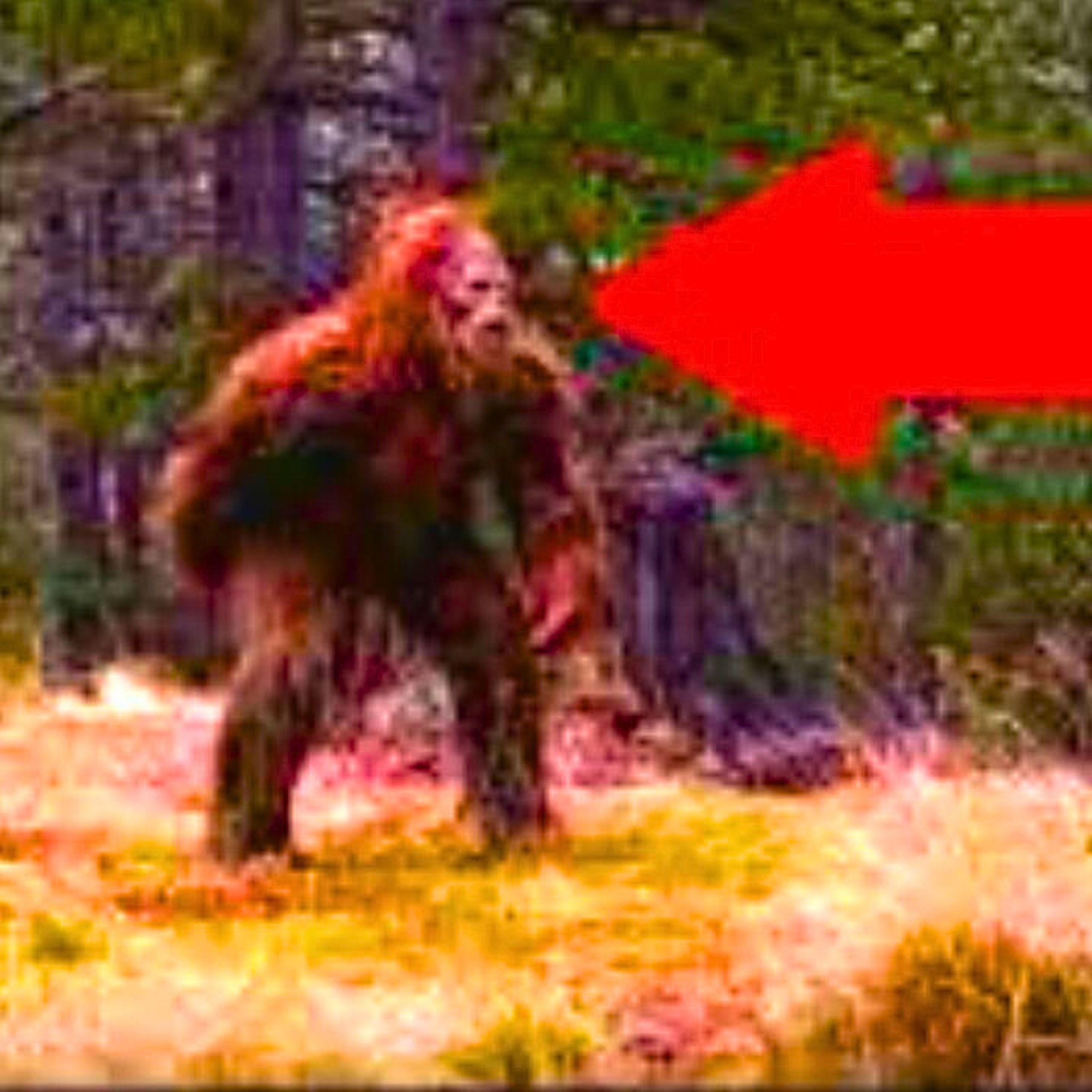 Homeless Couple Calls 911 on Bigfoot ACTUAL AUDIO