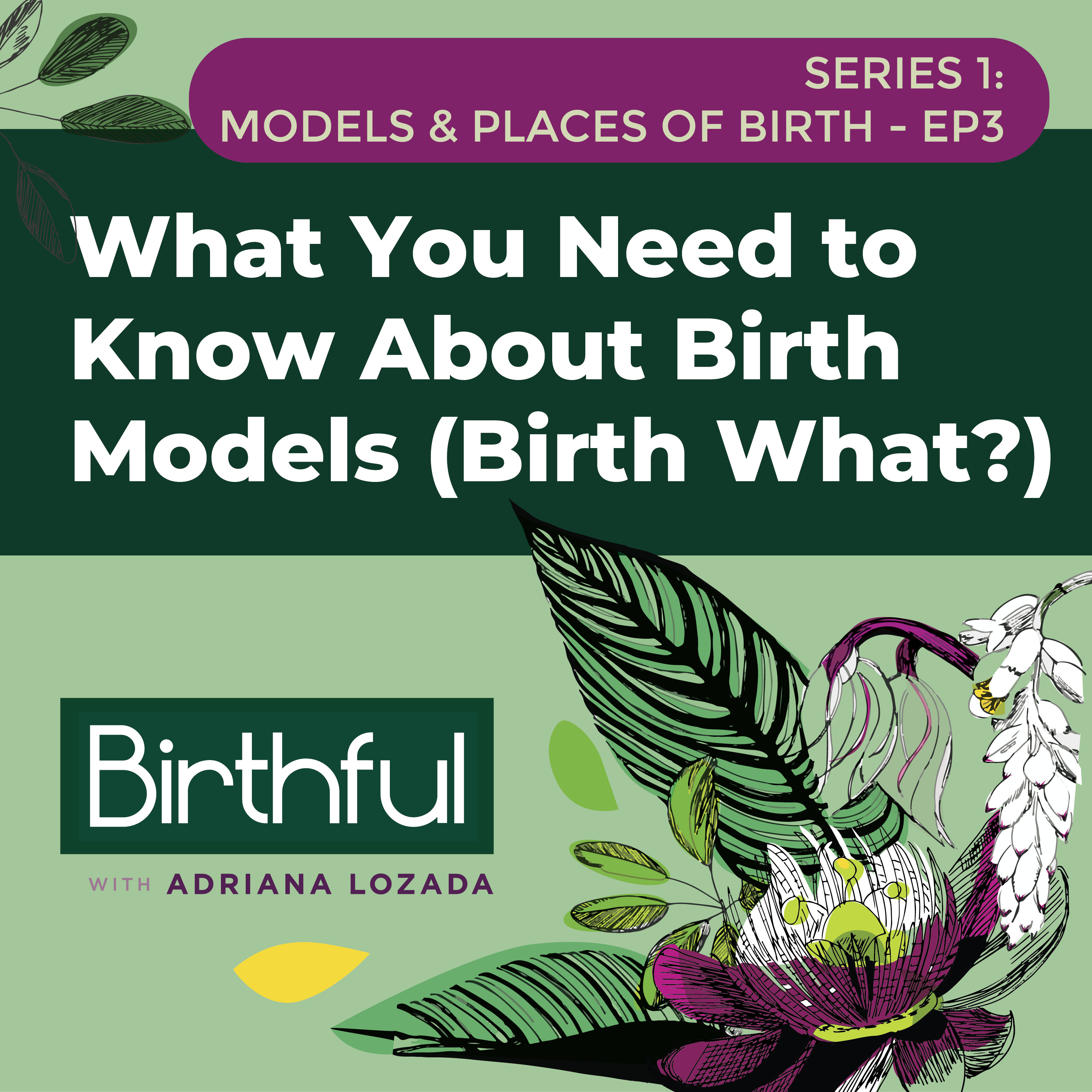What You Need to Know About Birth Models (Birth What?)