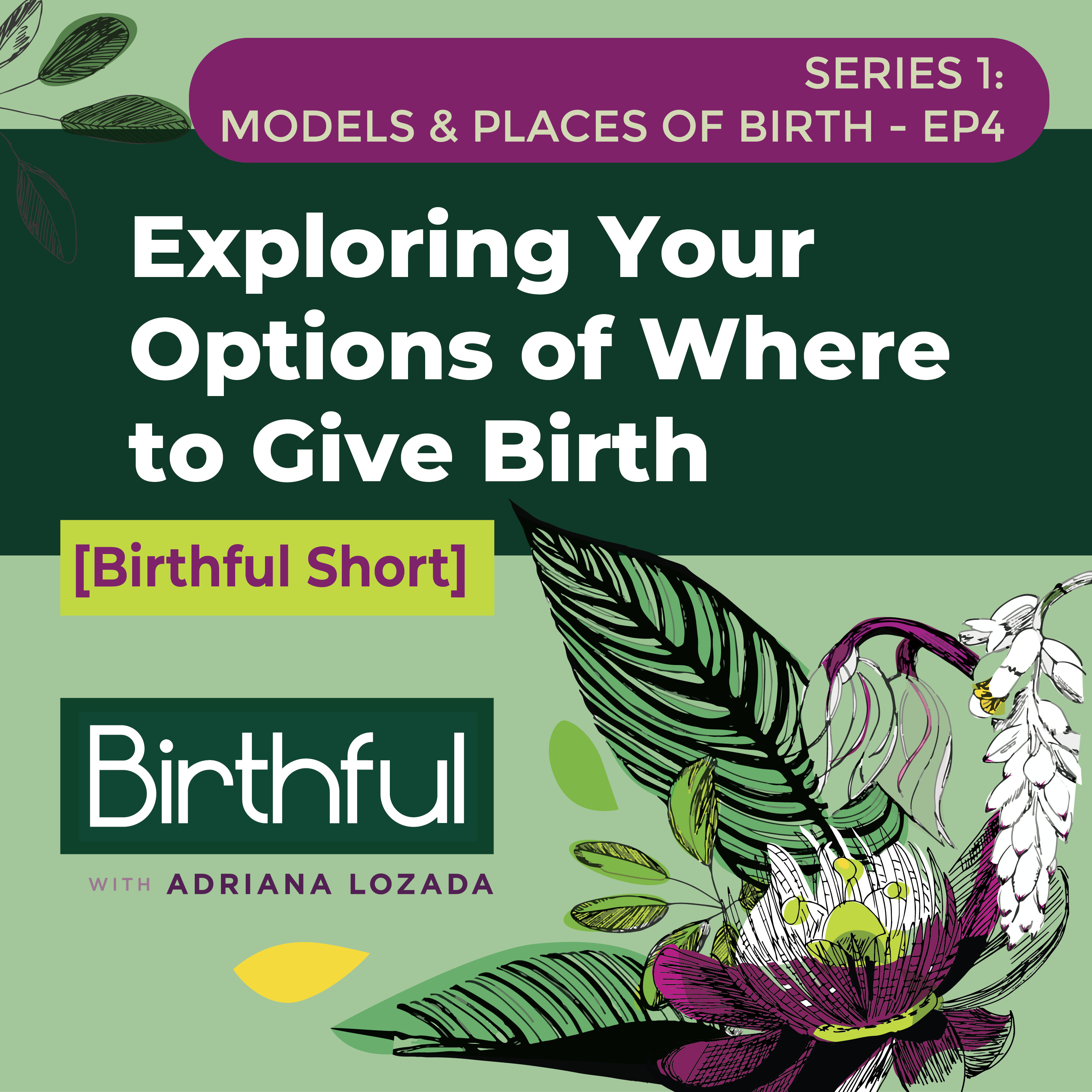 Exploring Your Options of Where to Give Birth
