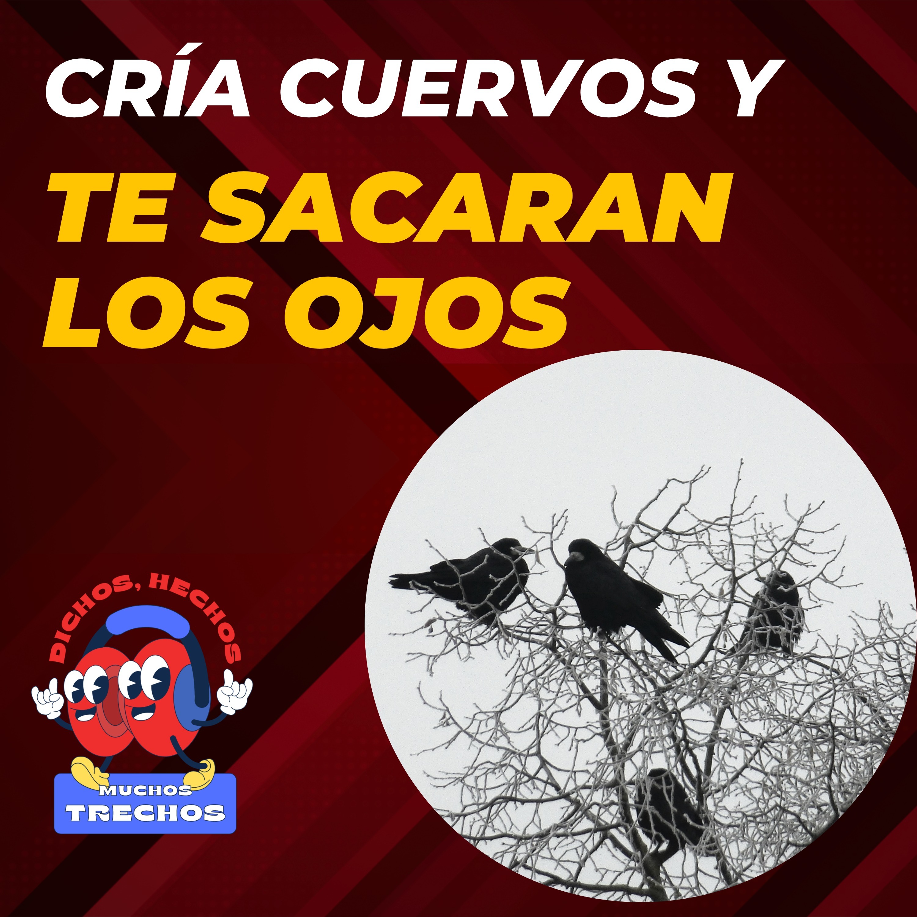 Dichos, Hechos y Muchos Trechos