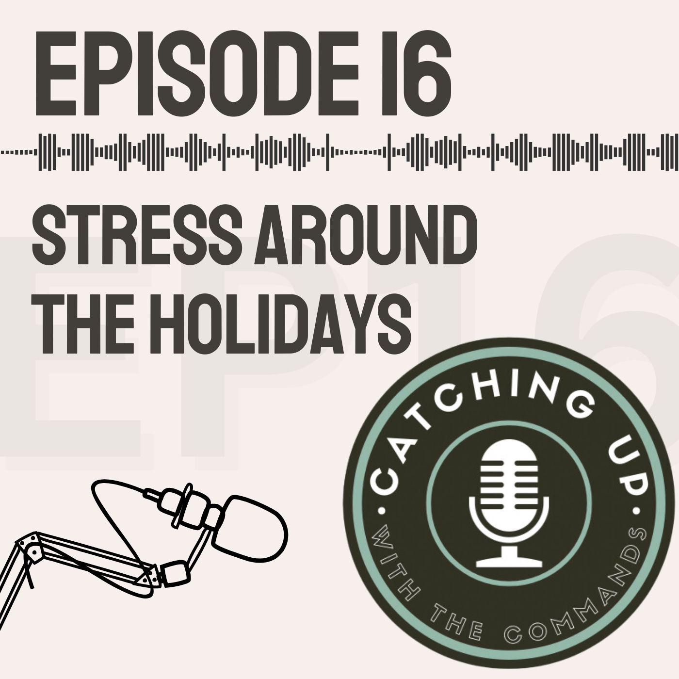 Ep 16 - Stress Around the Holidays!