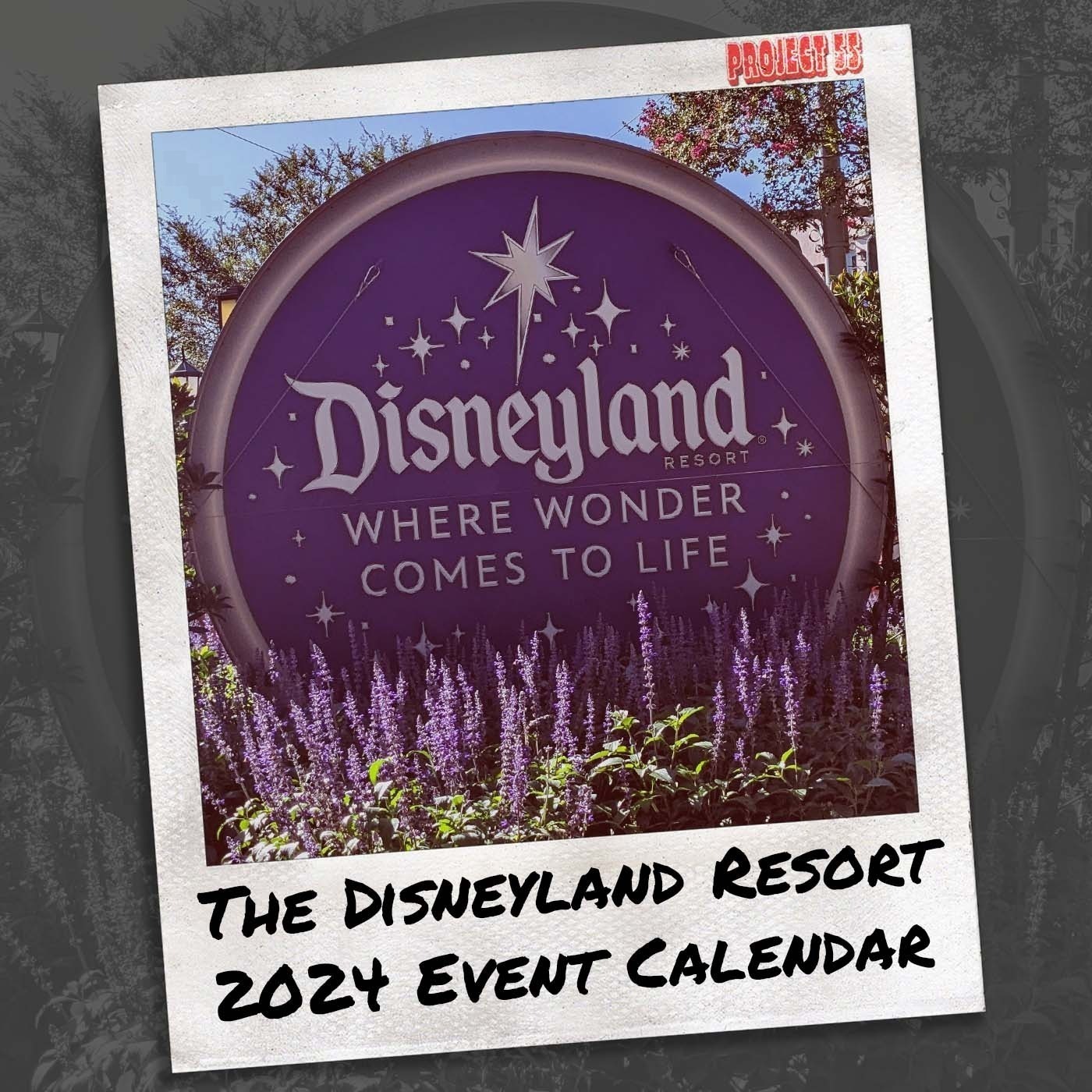 Project55 - A Disneyland Experience
